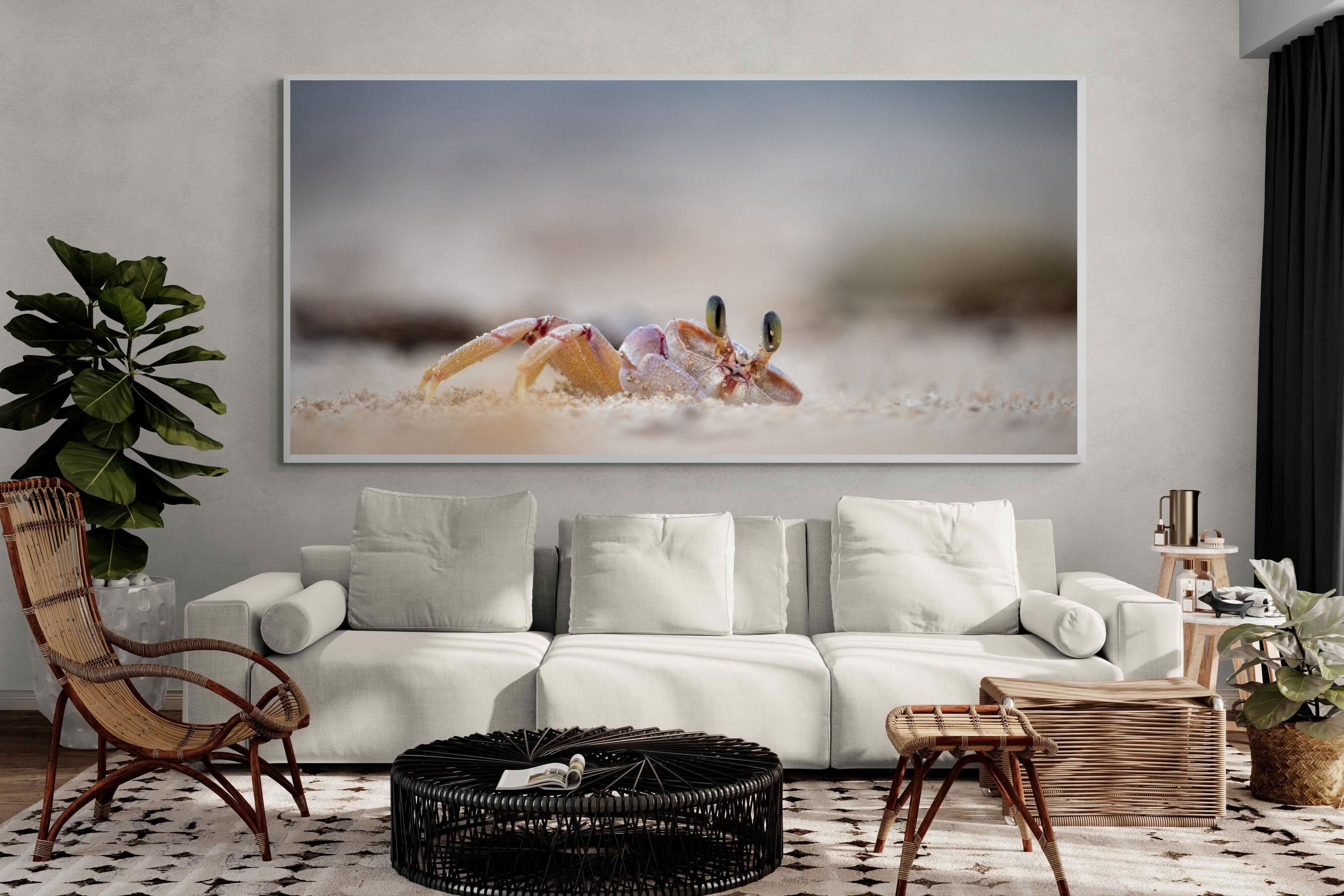 Pixalot Sand Crab