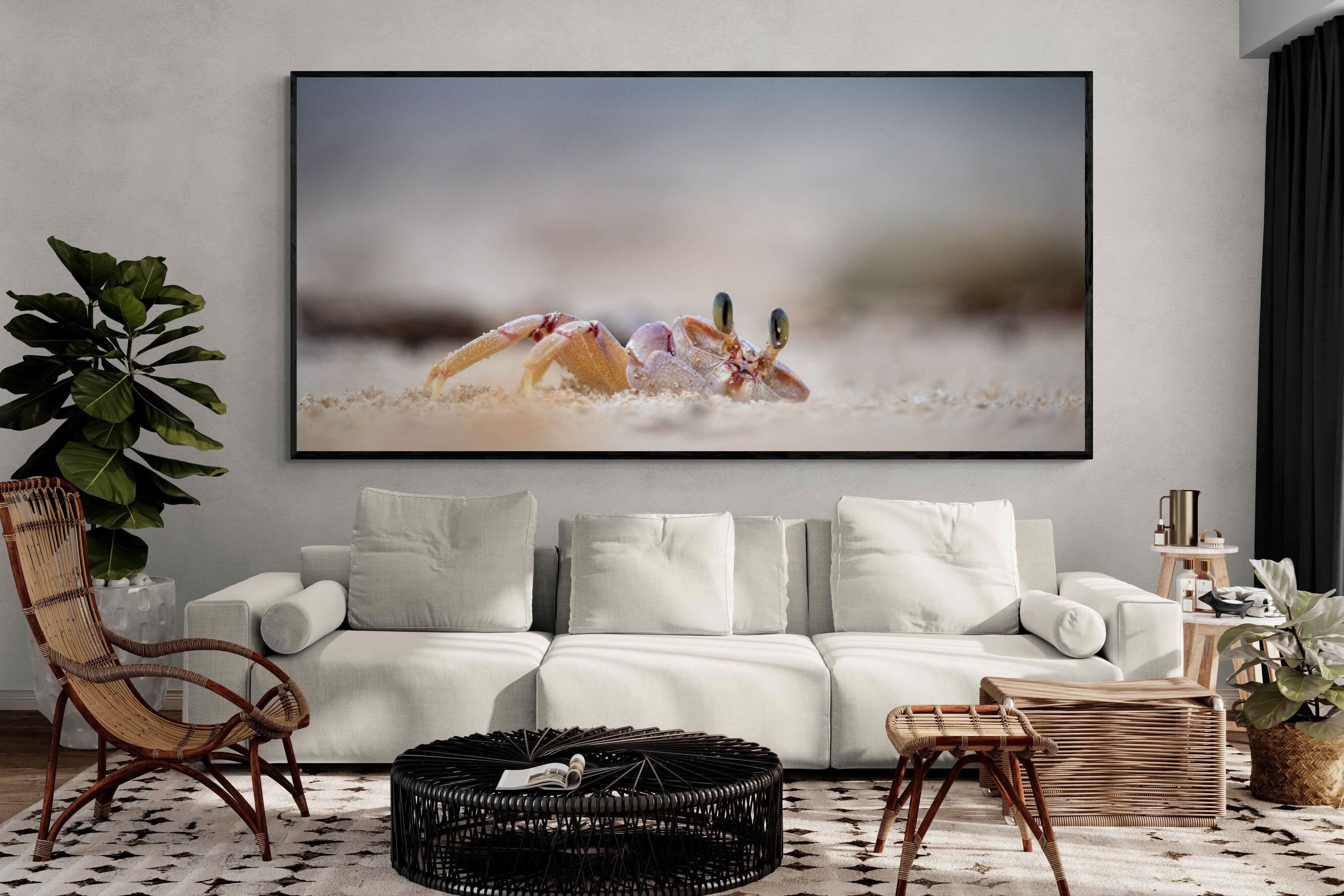 Pixalot Sand Crab