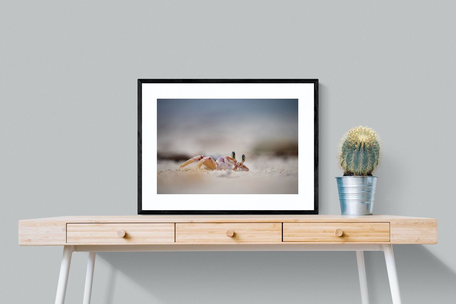 Pixalot Sand Crab
