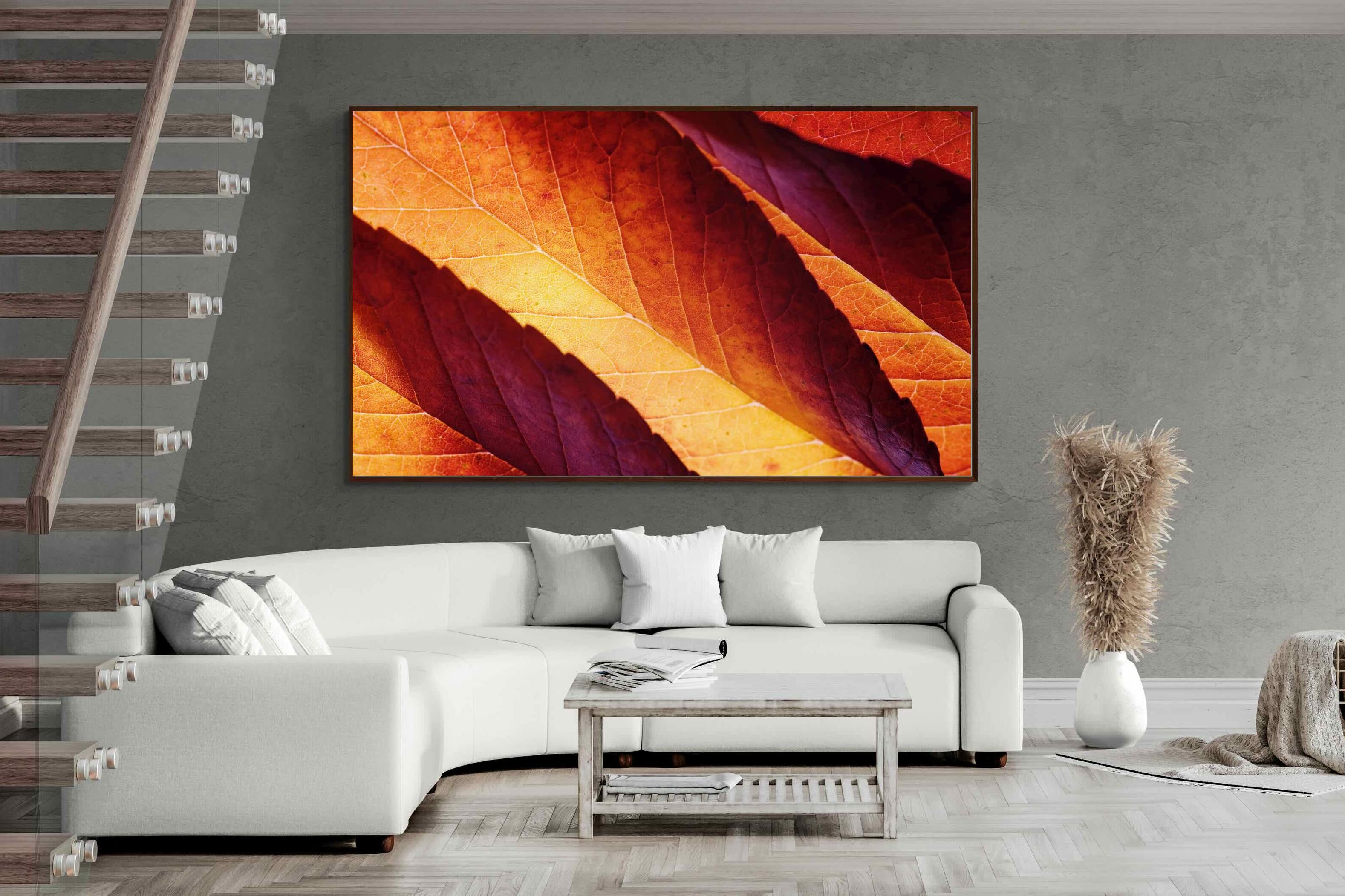 Pixalot ® Scarlet Leaves