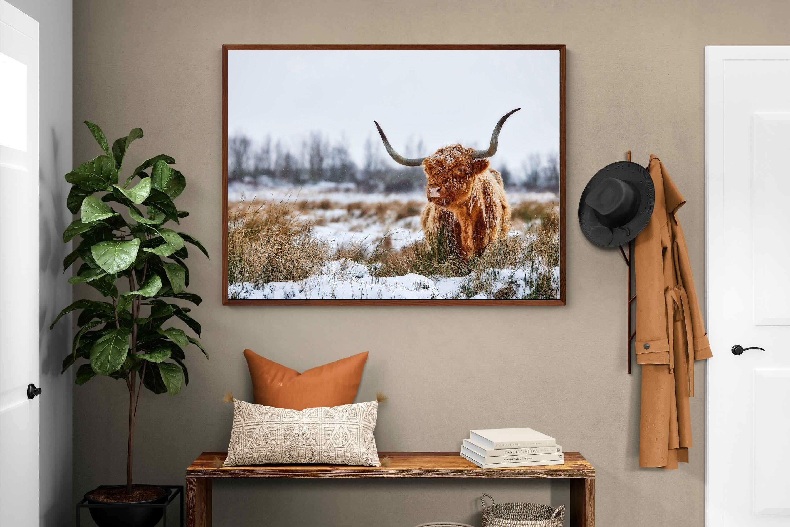 Pixalot ® Scottish Highlander (colour)