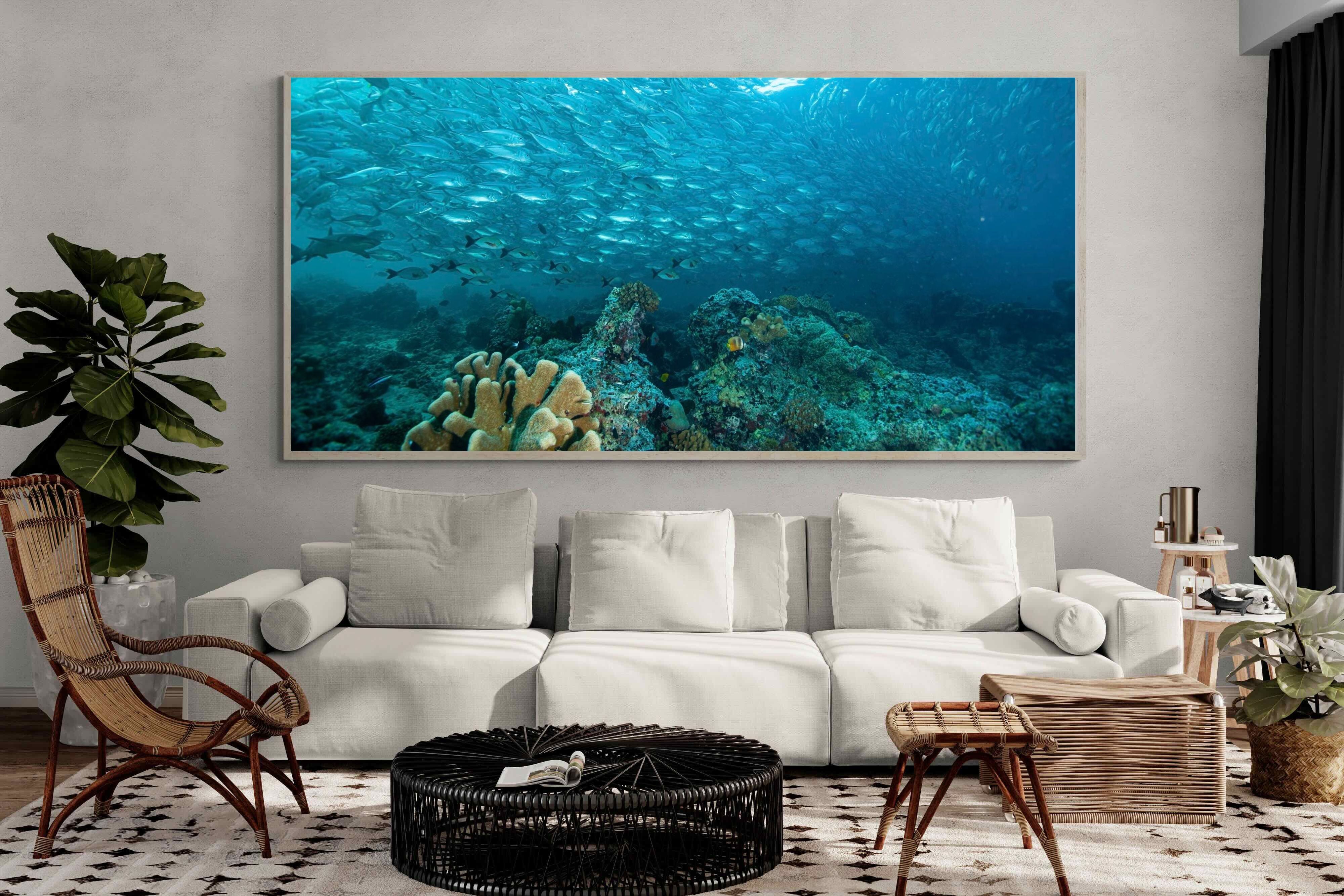Pixalot Seabed