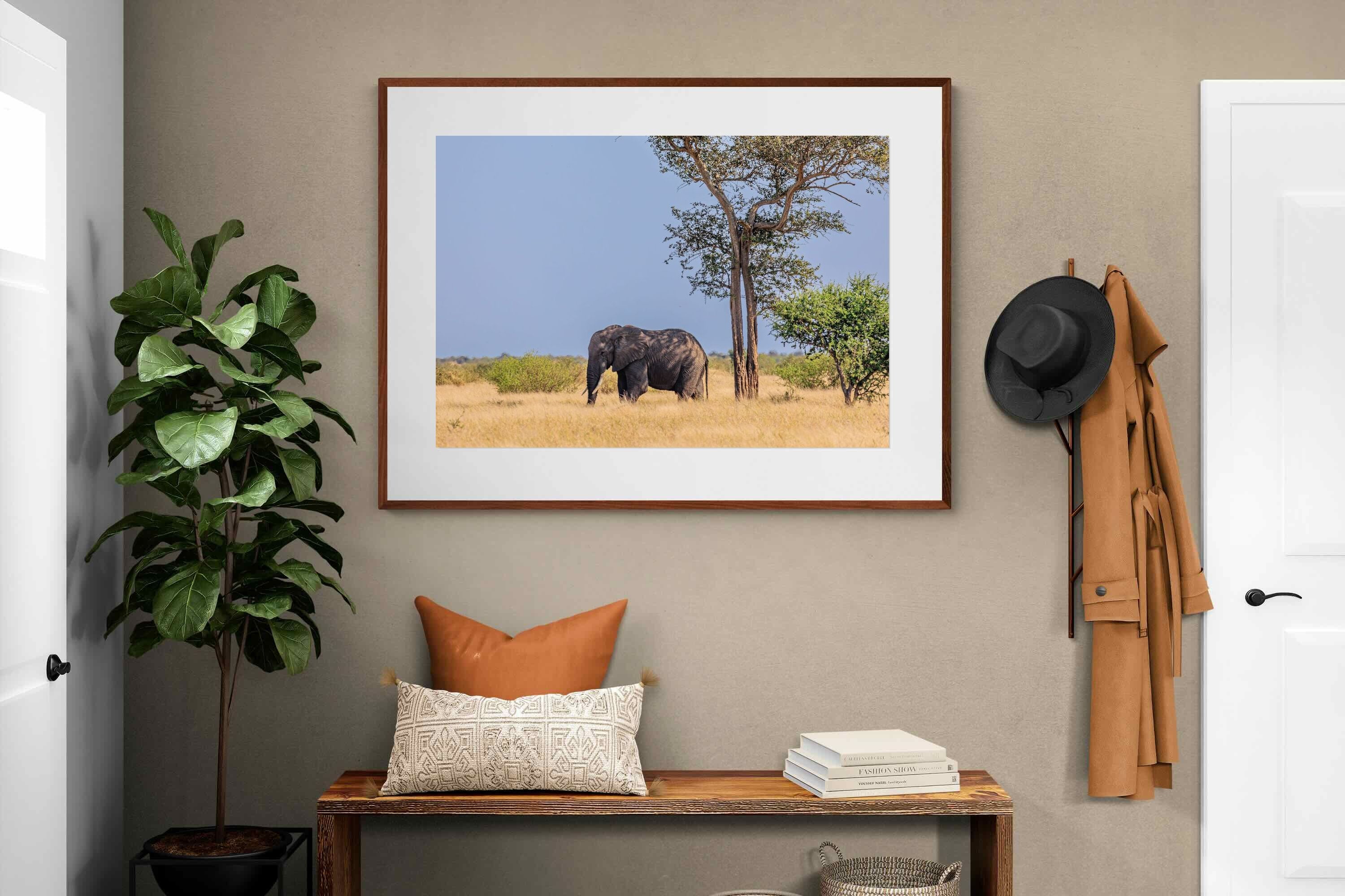 Pixalot ® Shady Elephant