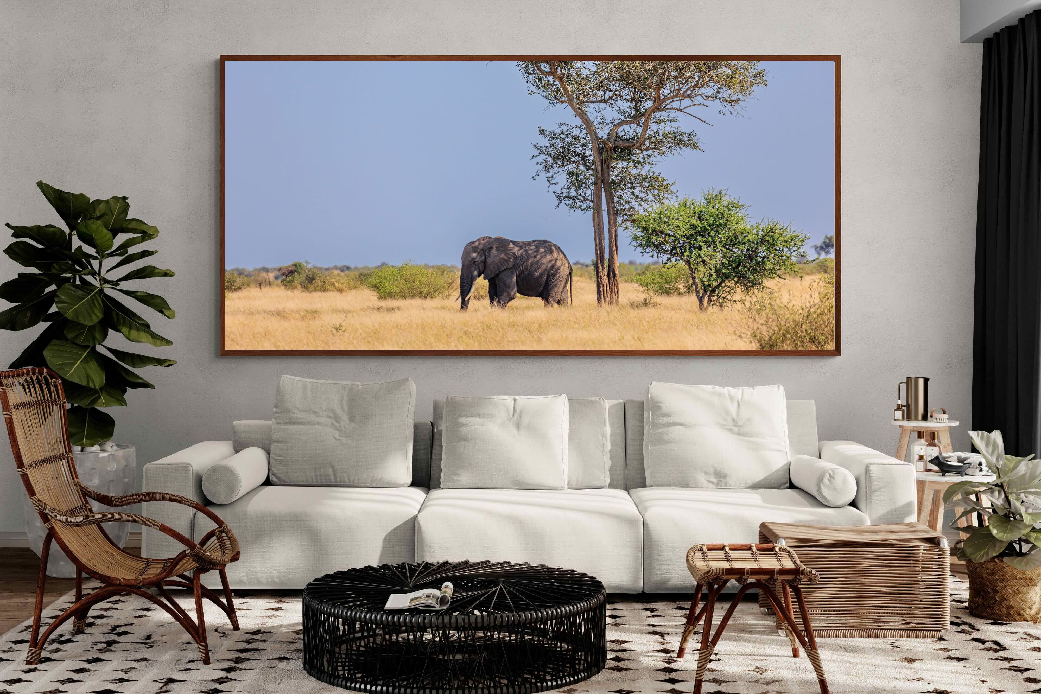 Pixalot ® Shady Elephant