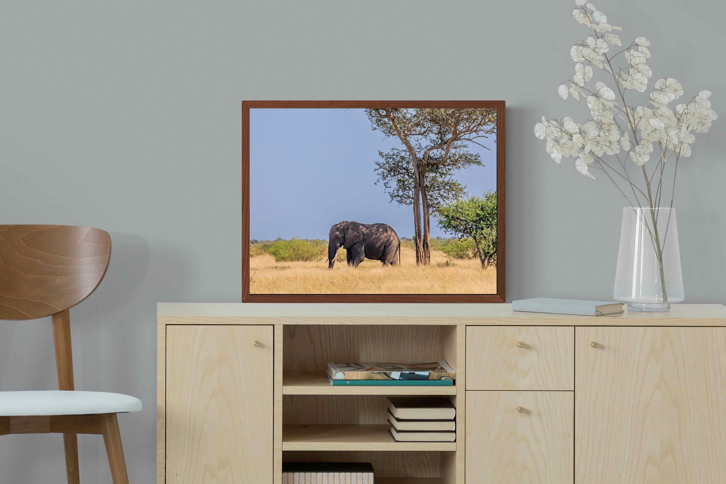 Pixalot ® Shady Elephant
