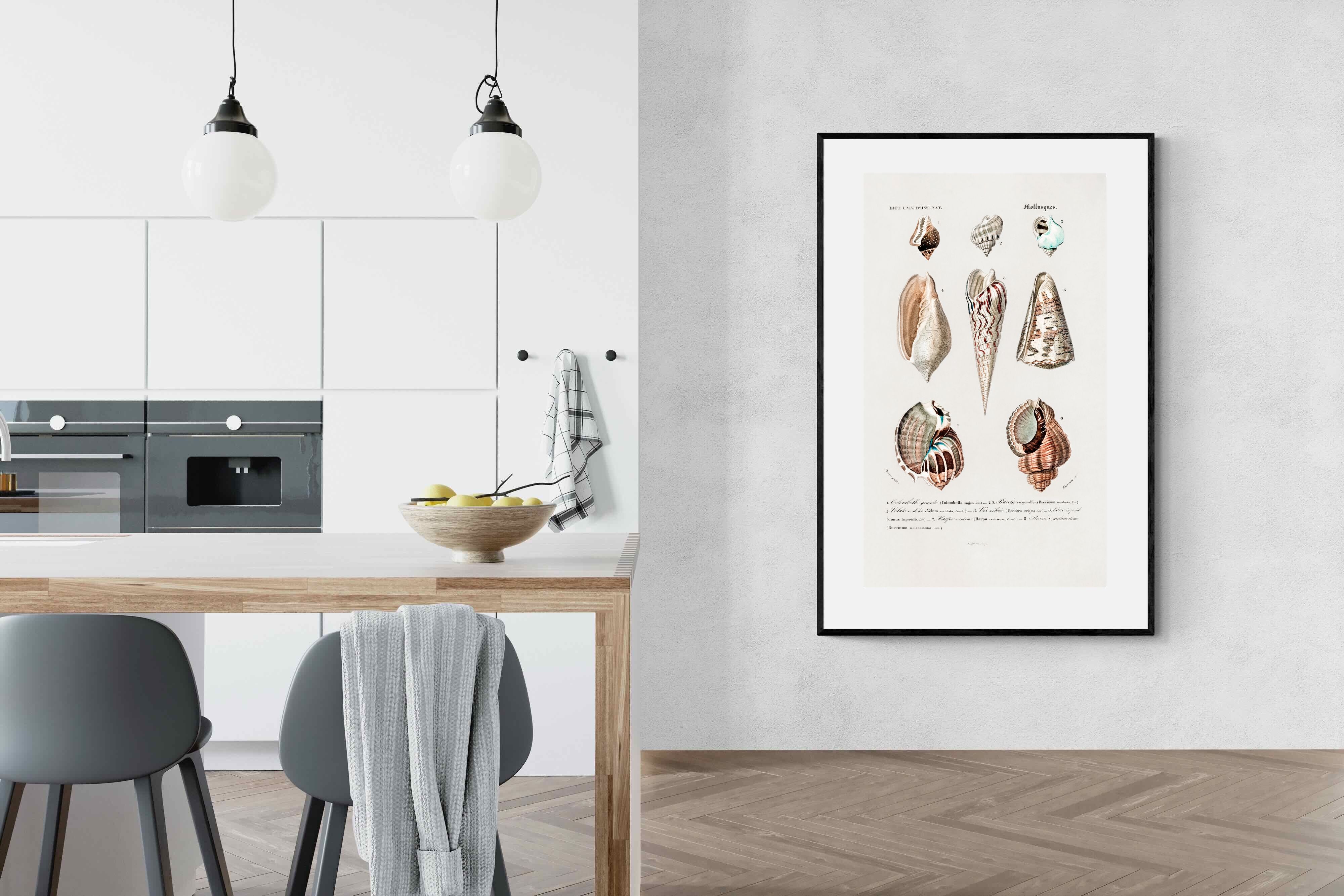 Pixalot Shell Study No. 1