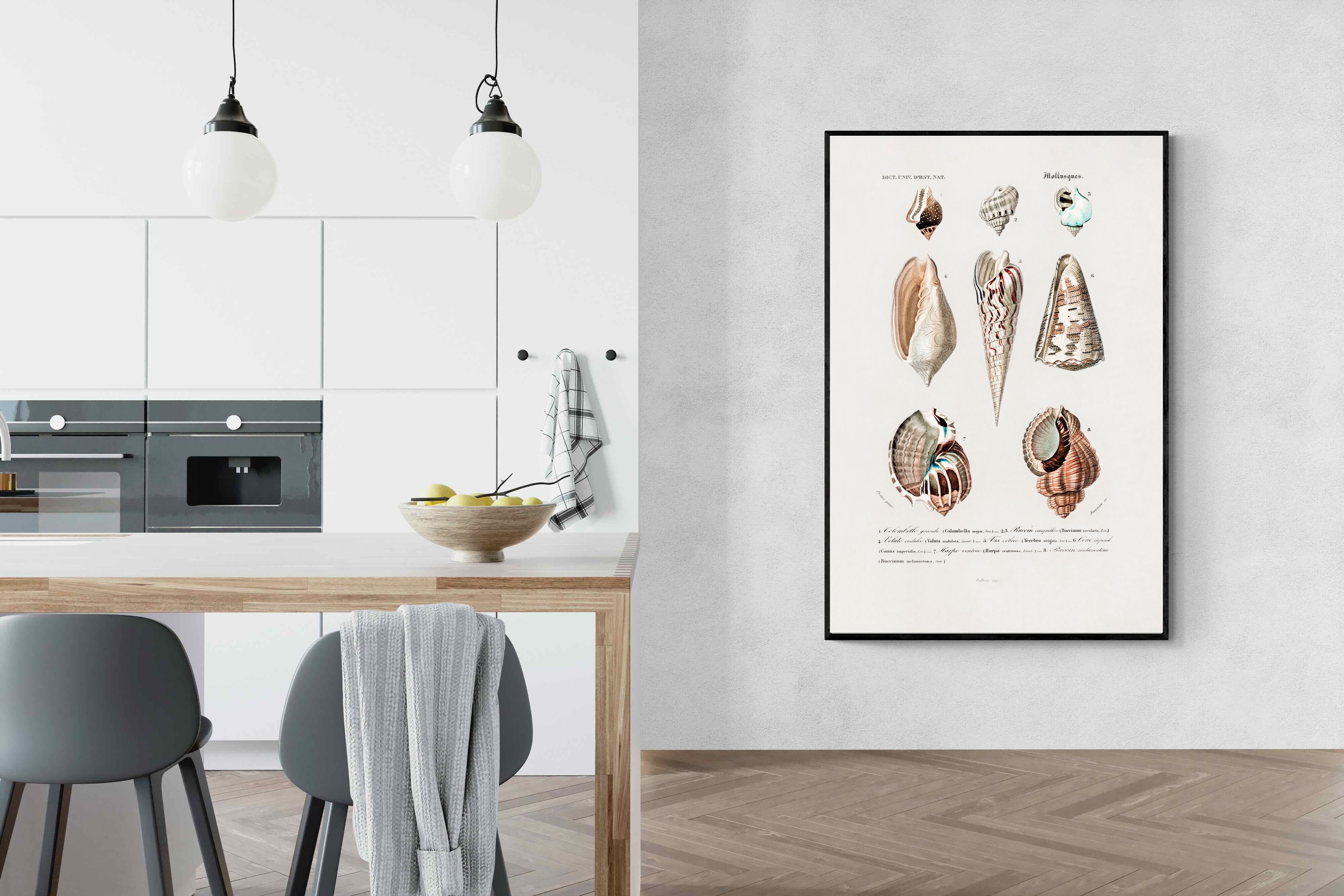 Pixalot Shell Study No. 1