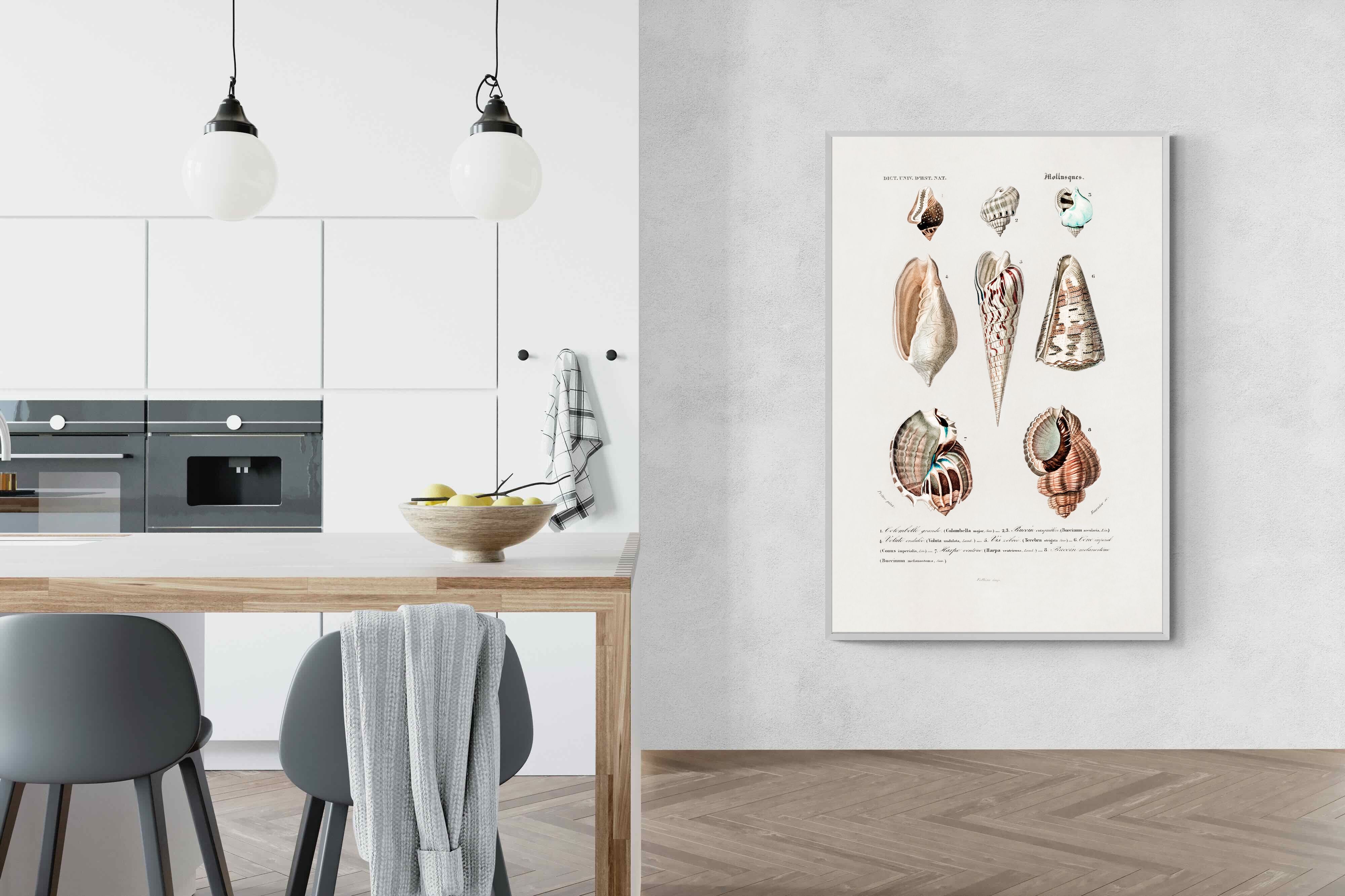 Pixalot Shell Study No. 1