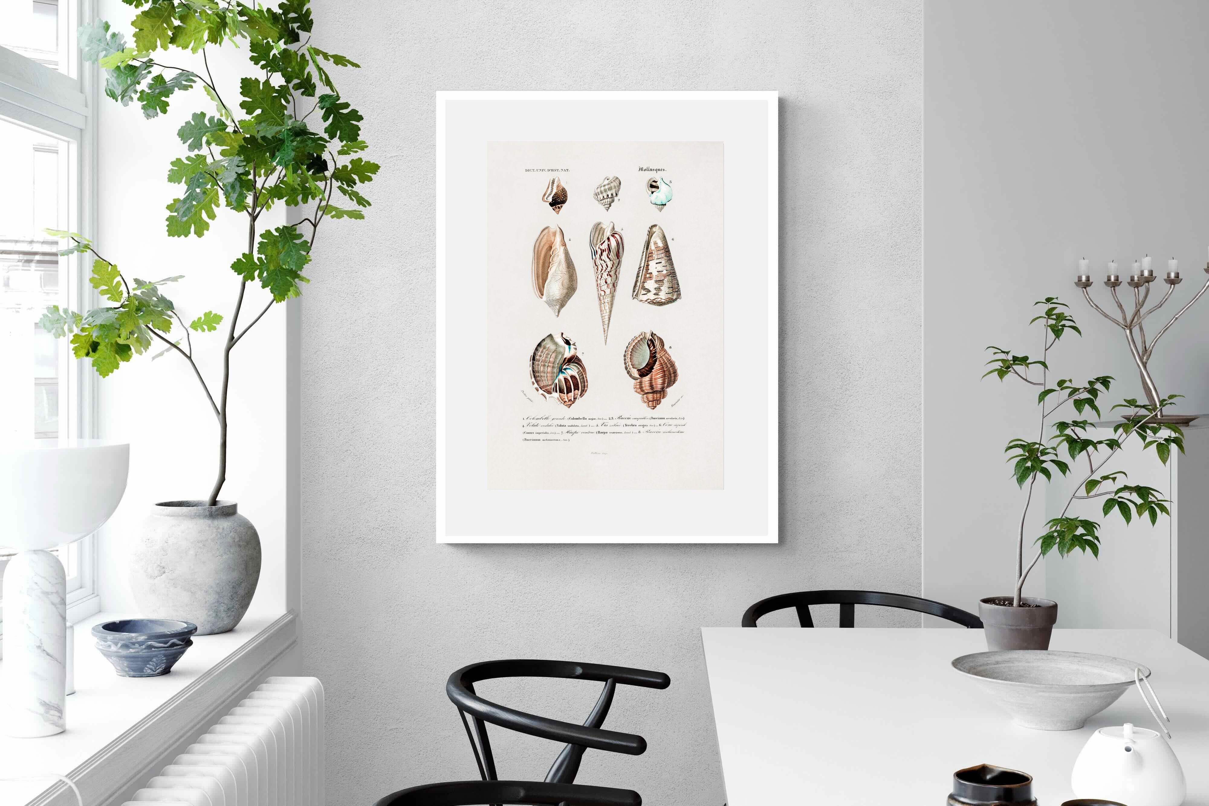 Pixalot Shell Study No. 1