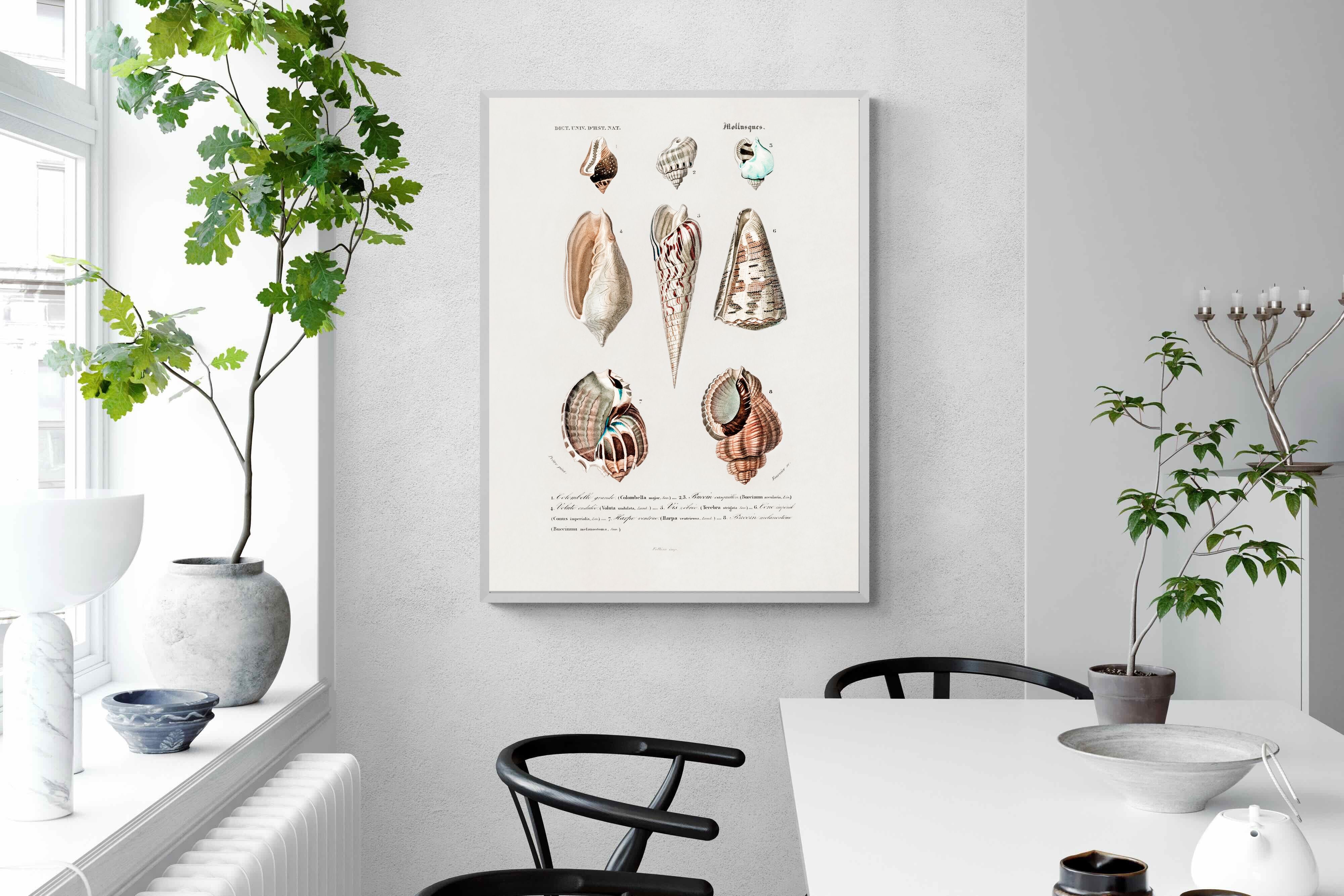 Pixalot Shell Study No. 1