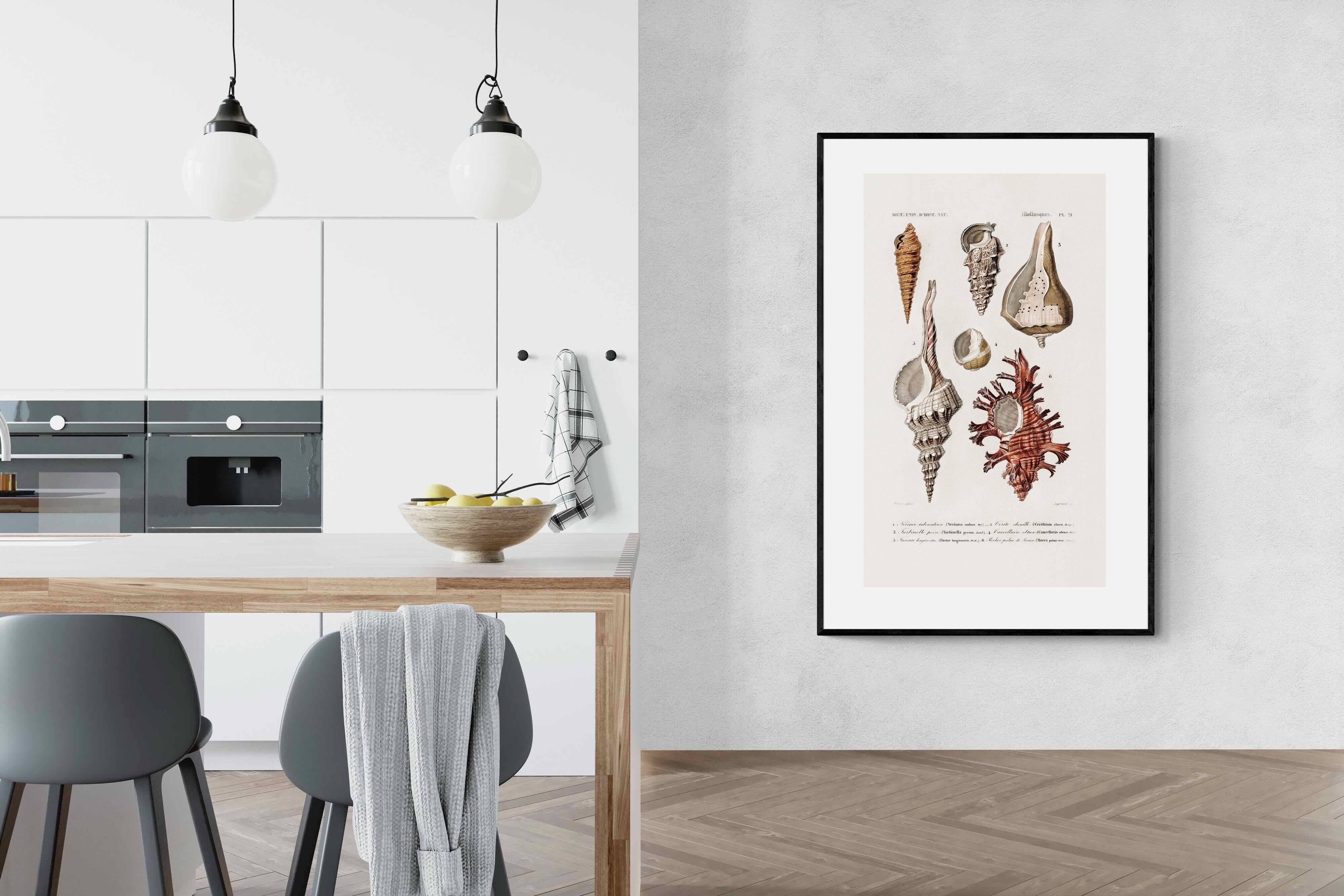 Pixalot Shell Study No. 2