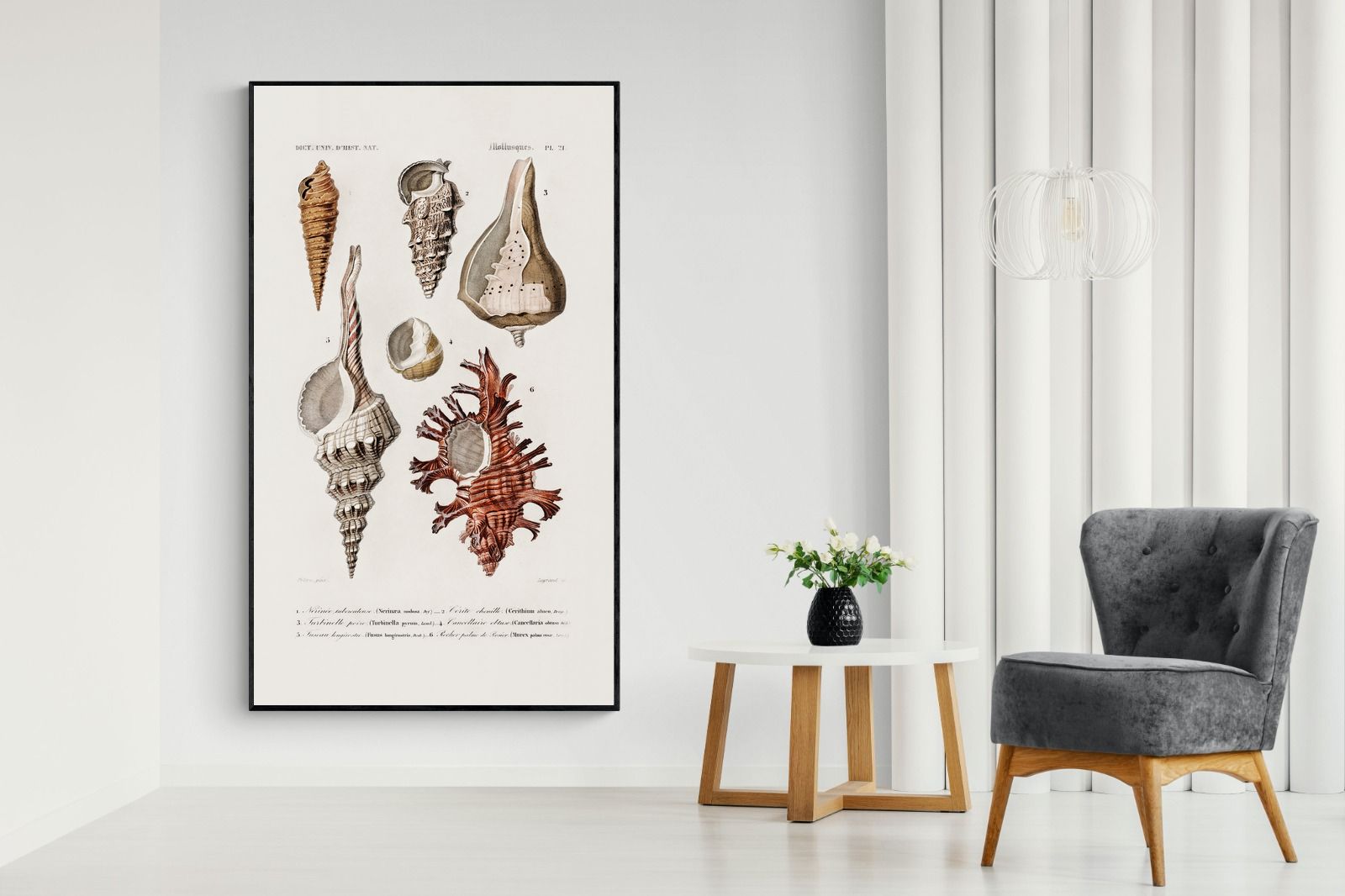 Pixalot Shell Study No. 2