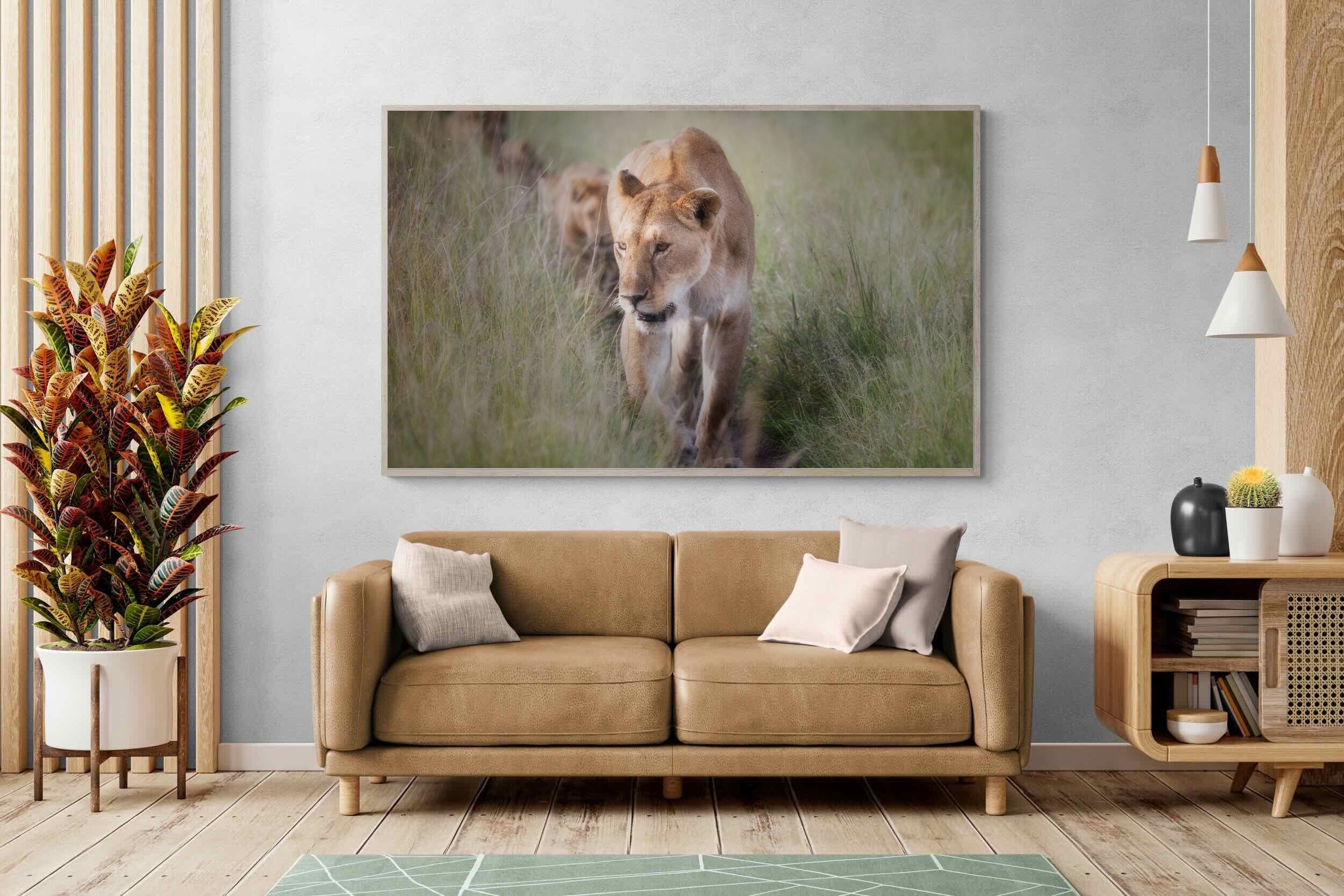 Pixalot Silent Pursuit