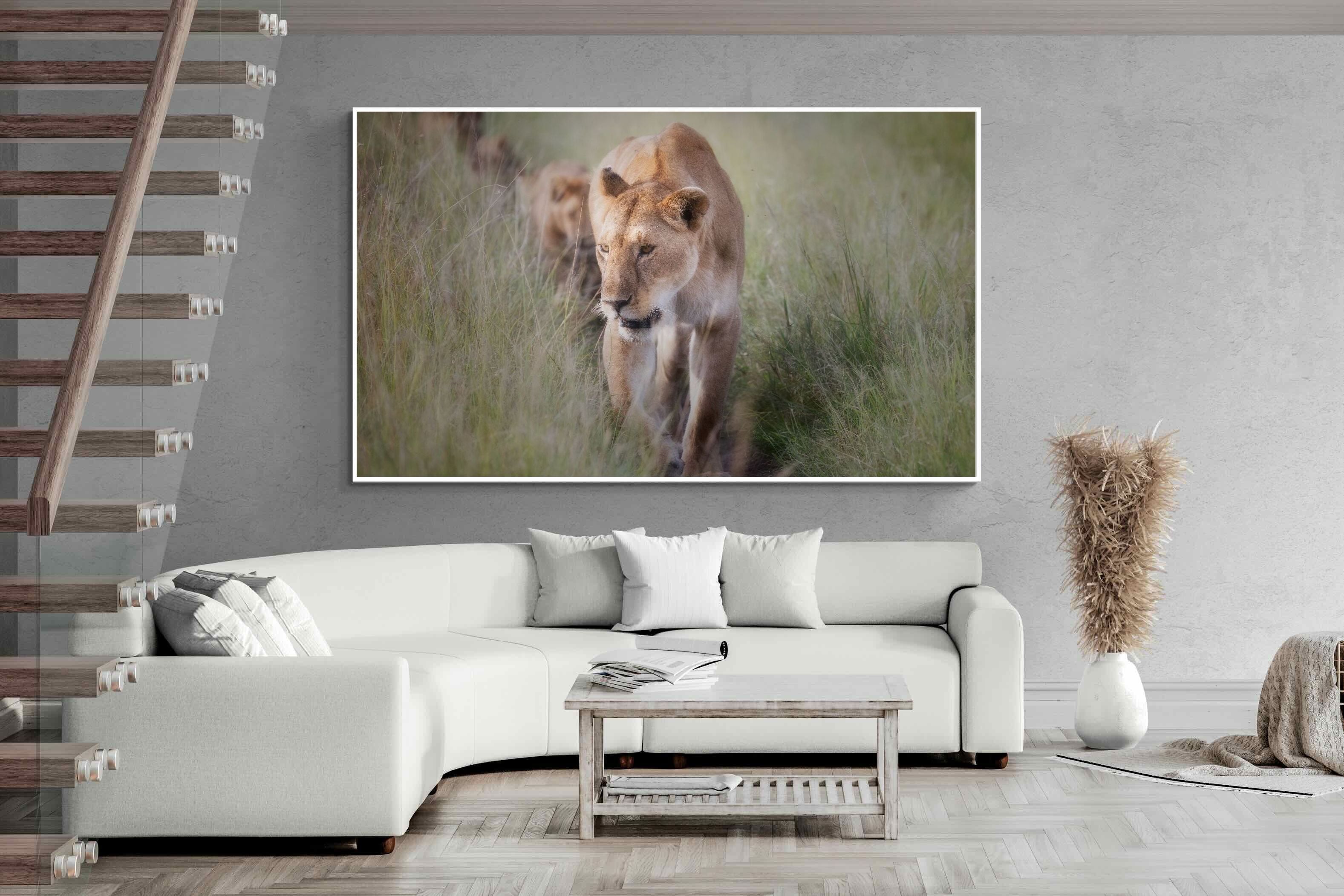 Pixalot Silent Pursuit