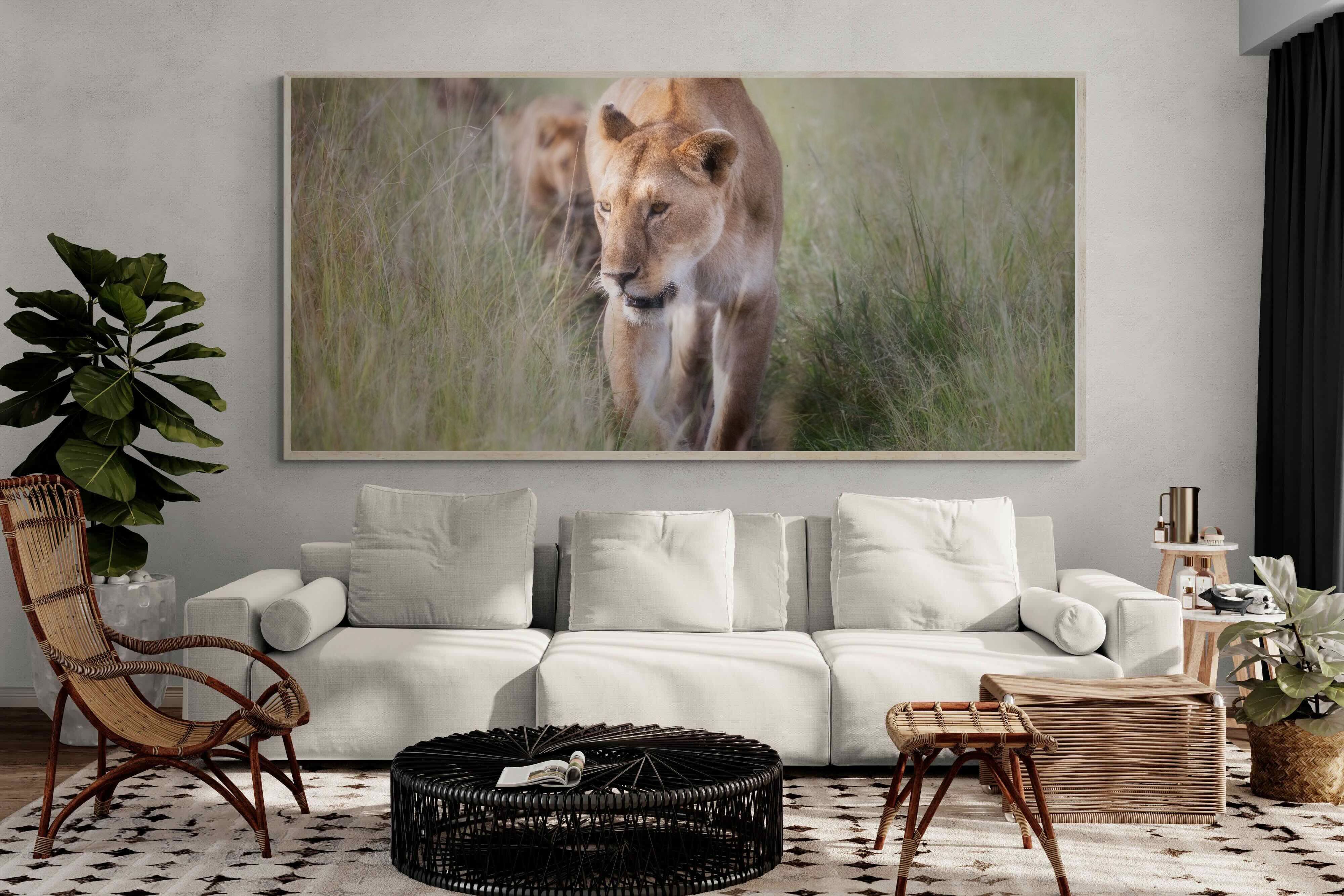 Pixalot Silent Pursuit