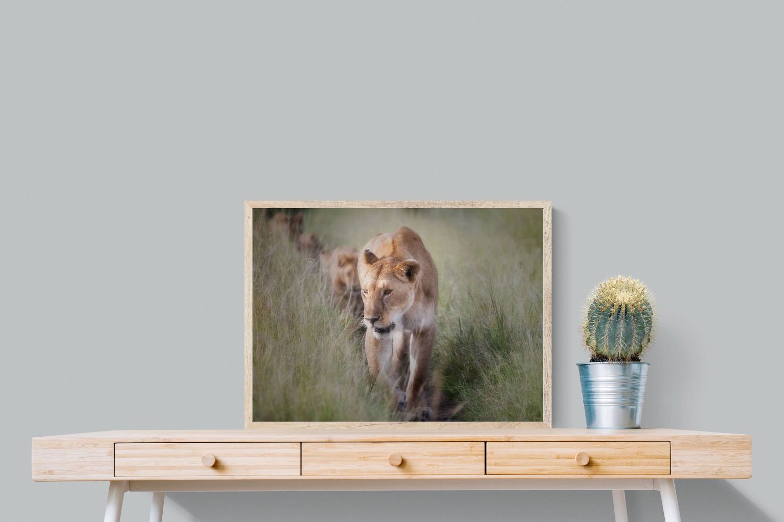 Pixalot Silent Pursuit