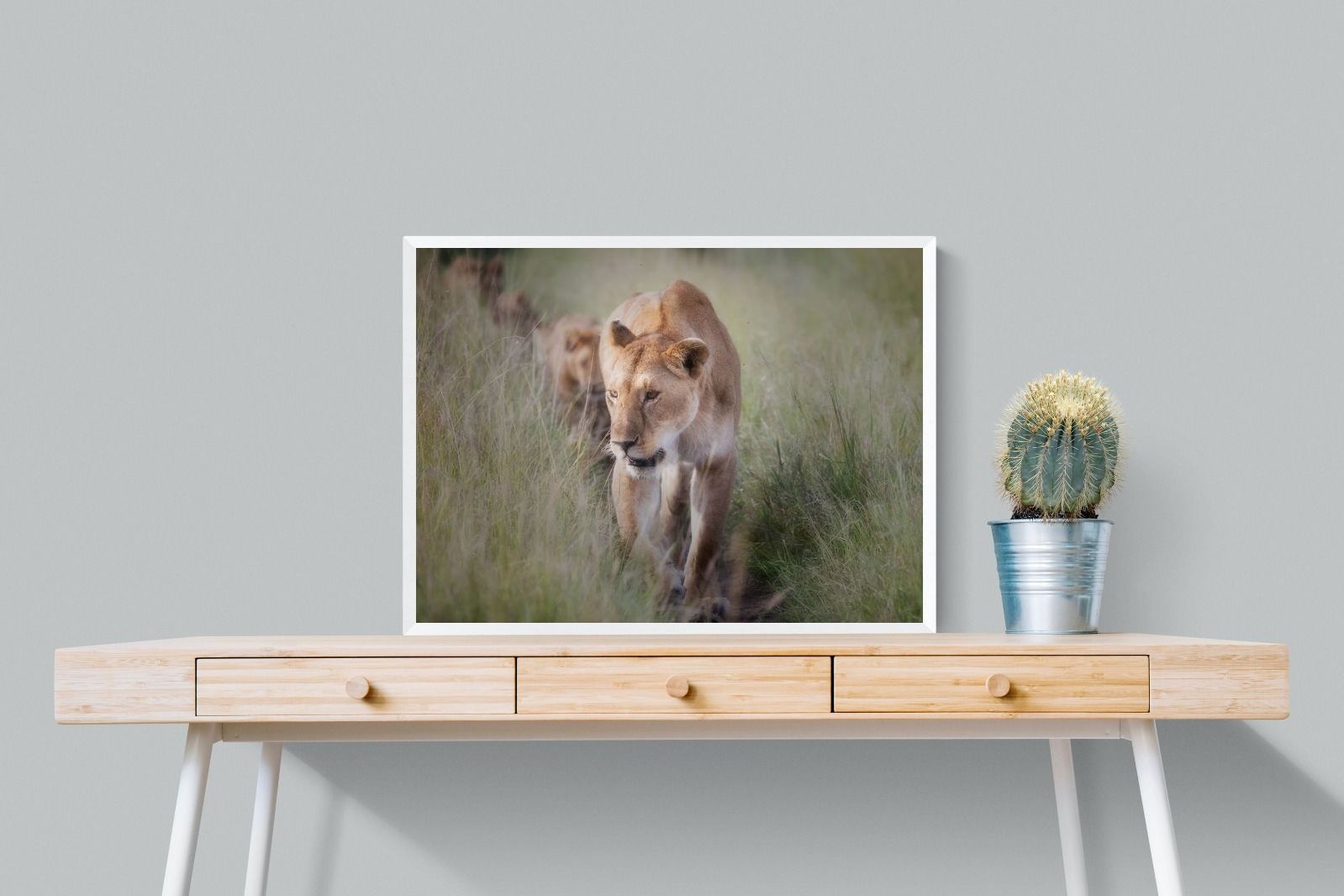 Pixalot Silent Pursuit