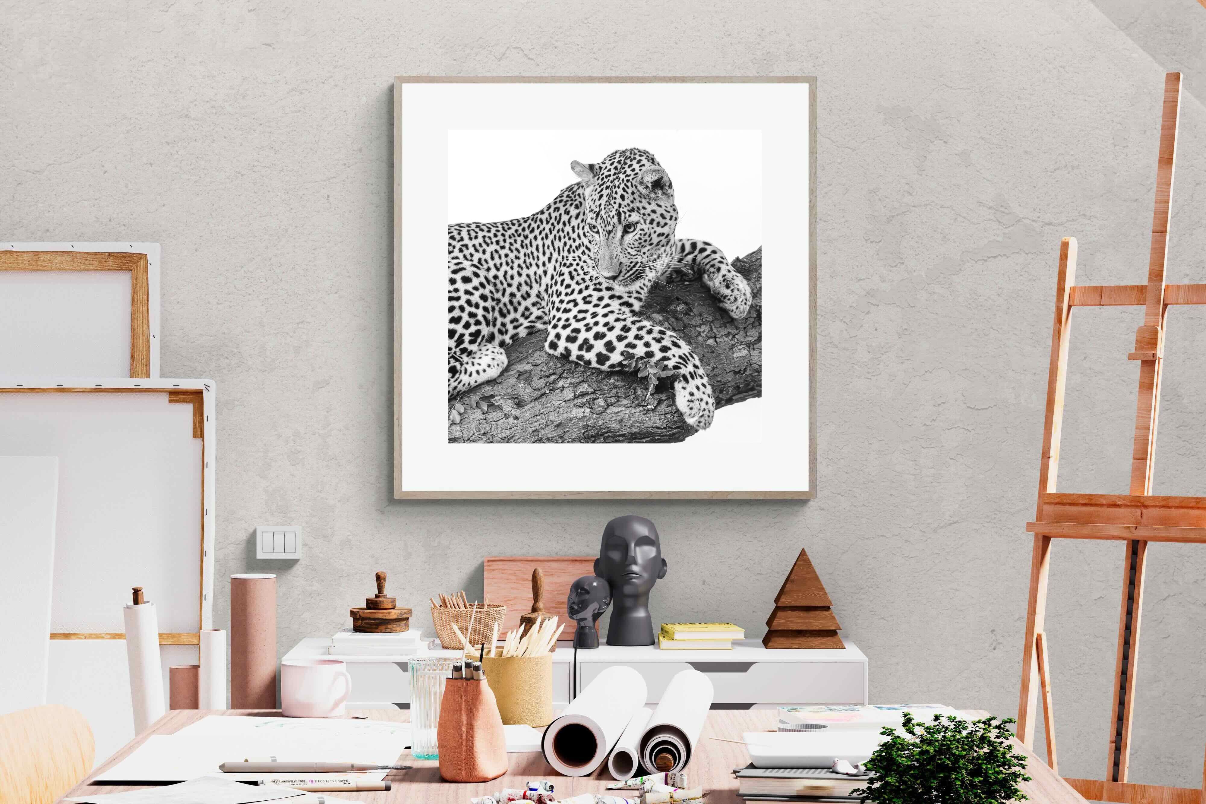 Pixalot Silent Watch