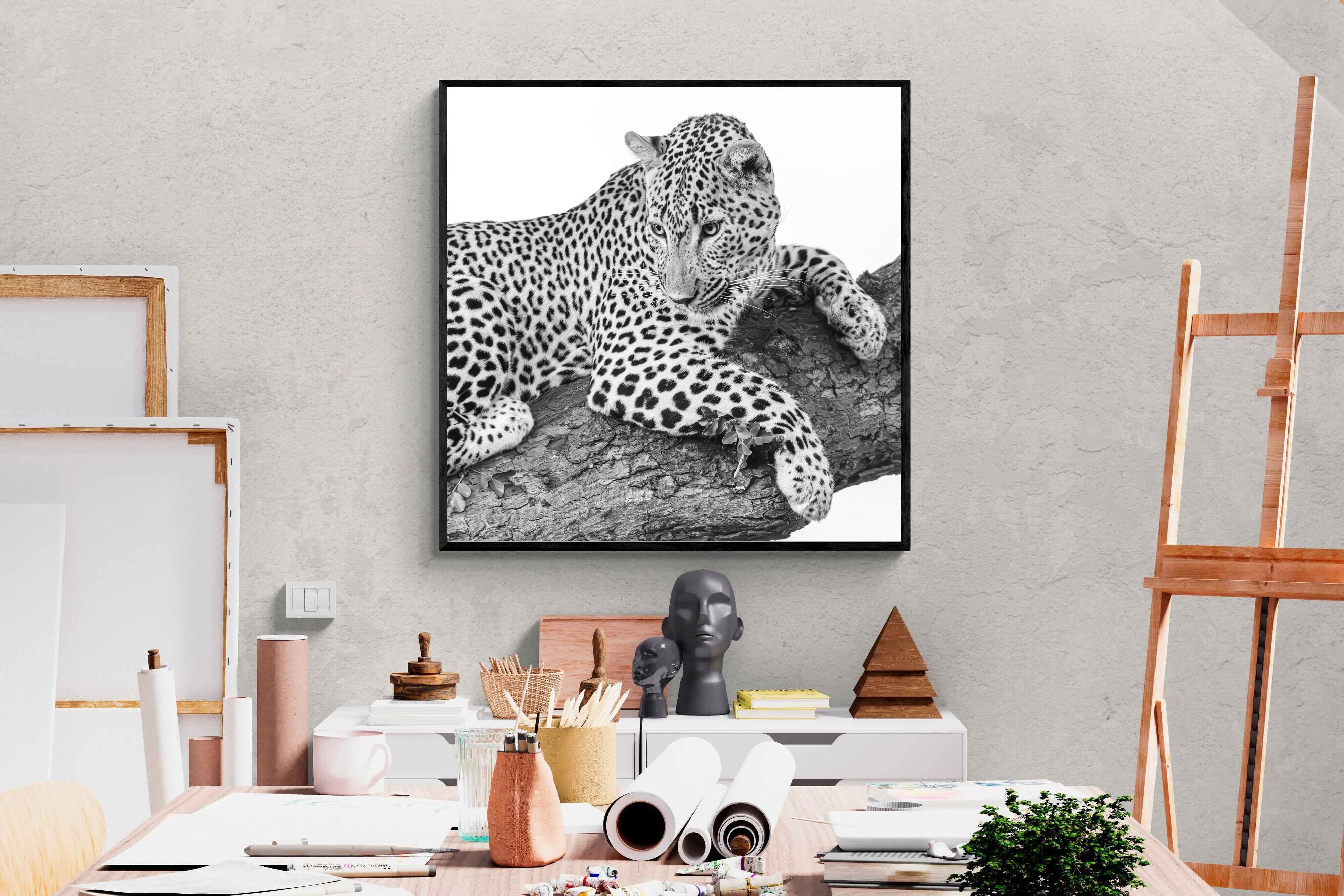 Pixalot Silent Watch