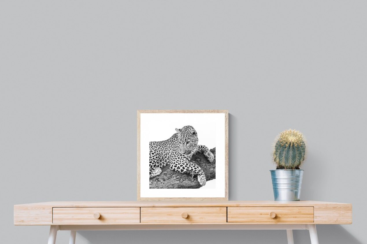 Pixalot Silent Watch