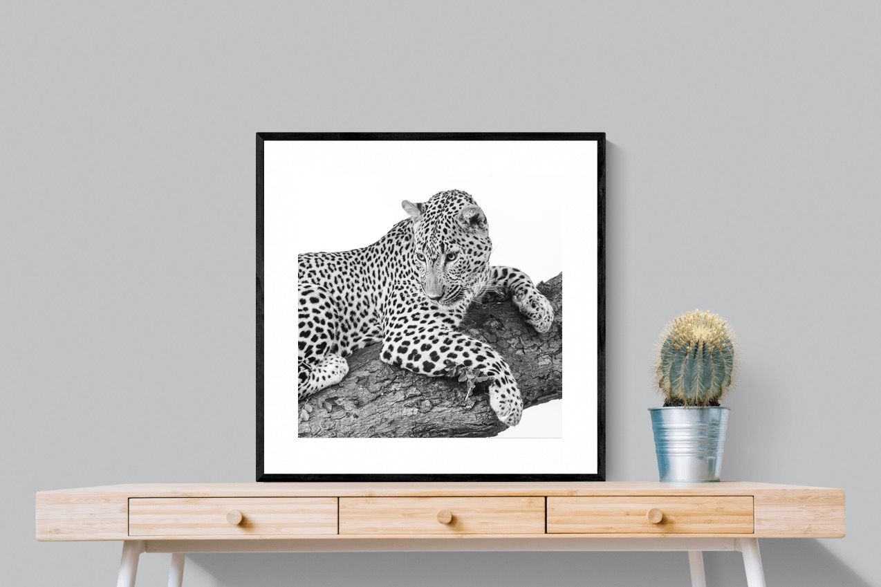 Pixalot Silent Watch