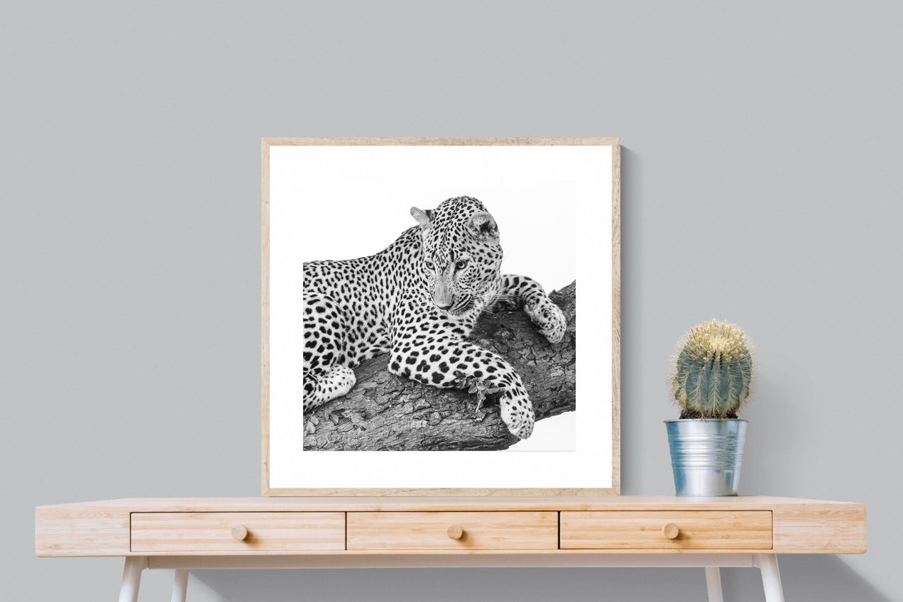 Pixalot Silent Watch