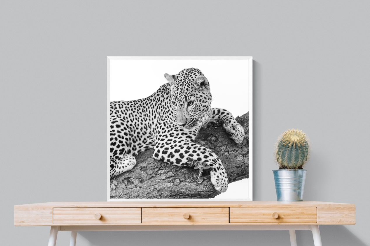 Pixalot Silent Watch