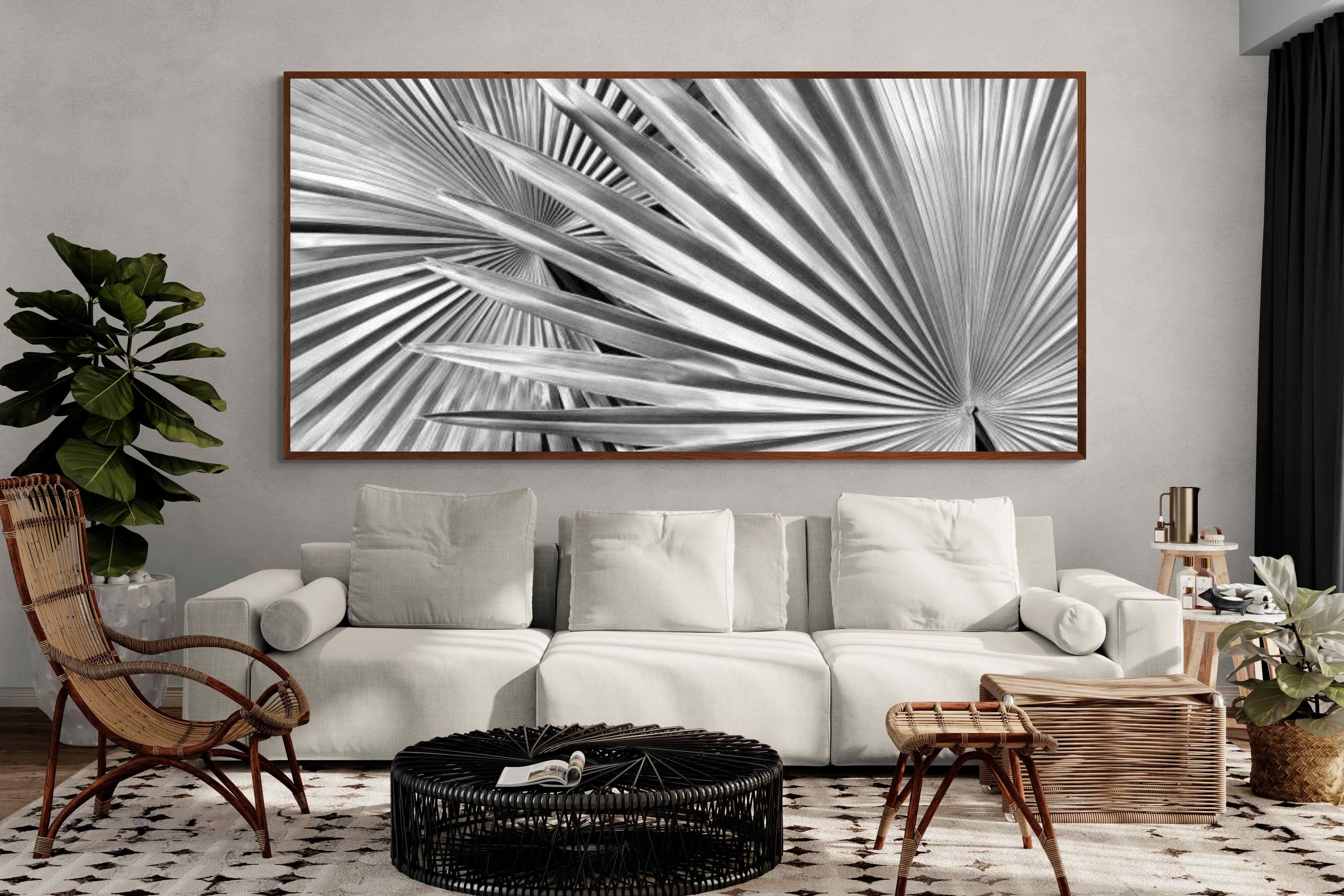 Pixalot ® Silver Palm