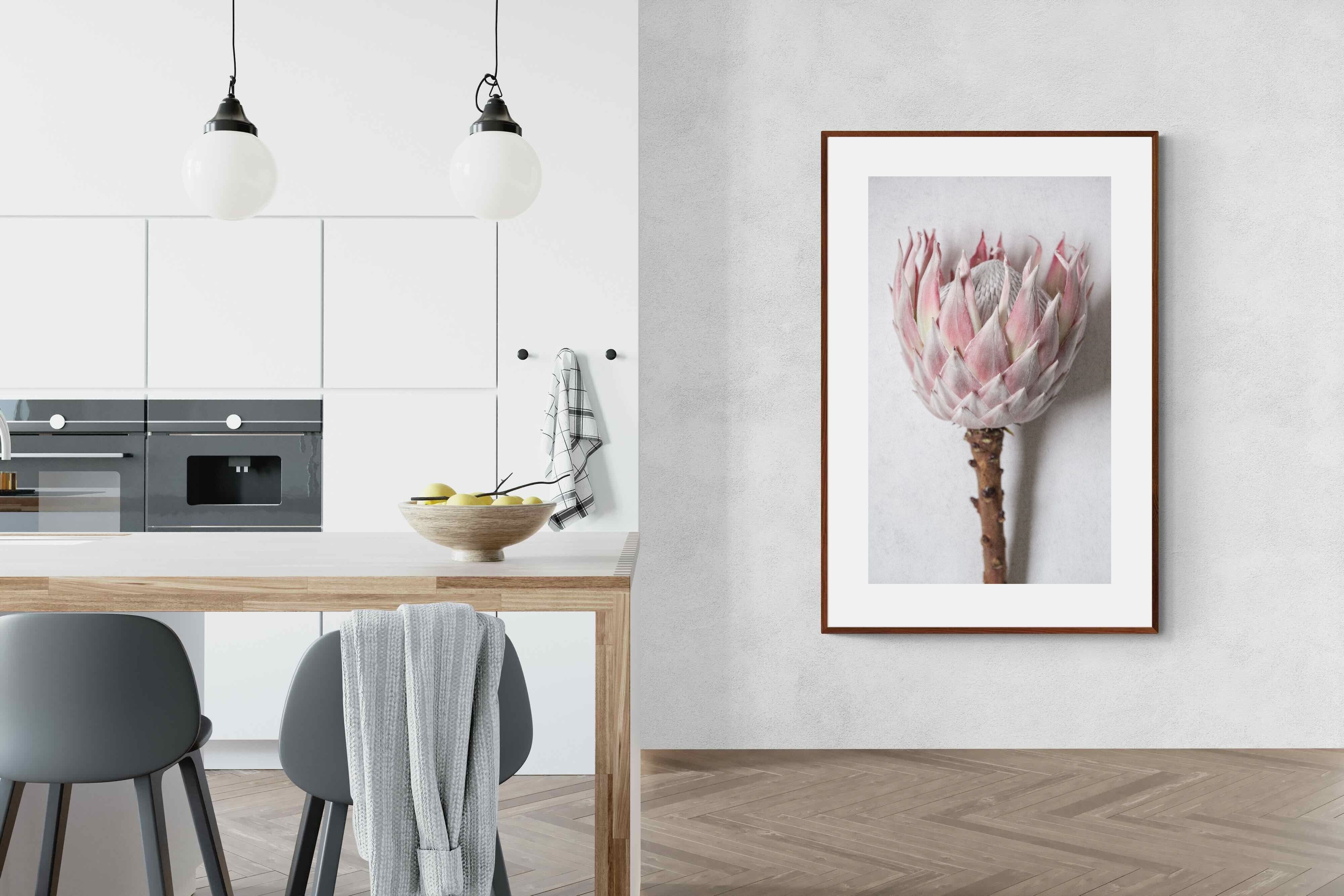 Pixalot Single Pink King Protea