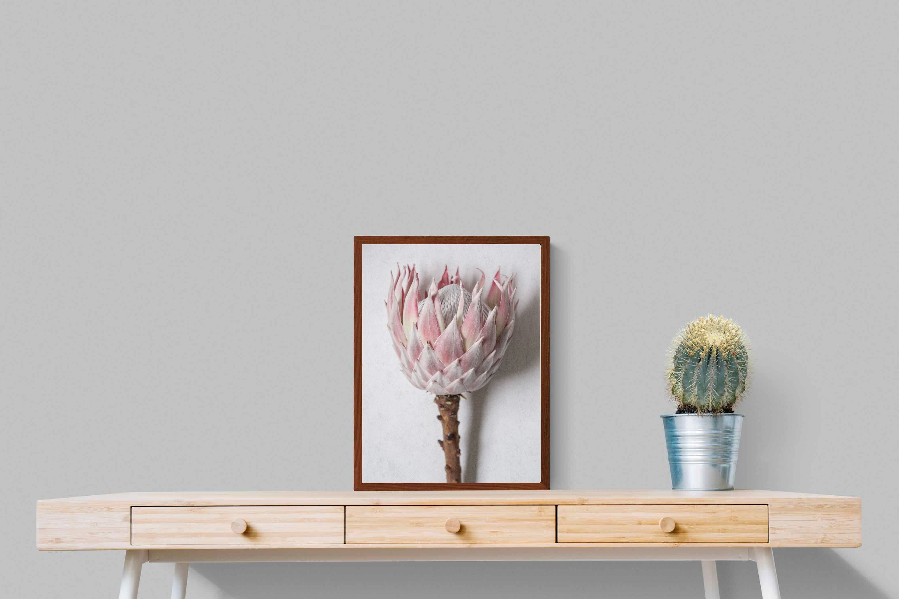 Pixalot Single Pink King Protea