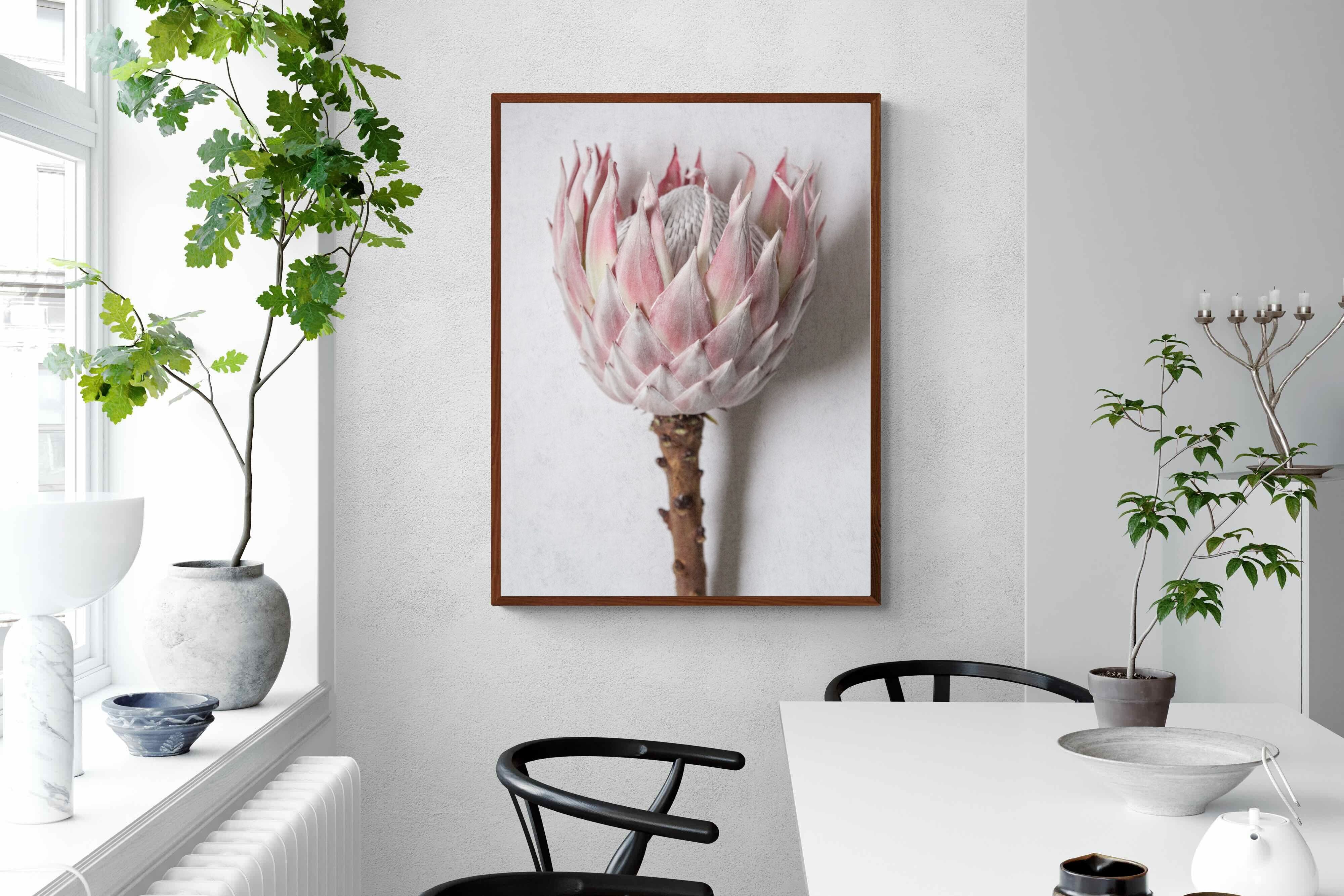 Pixalot Single Pink King Protea