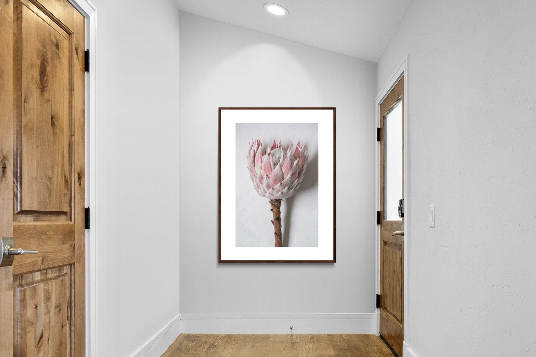 Pixalot Single Pink King Protea