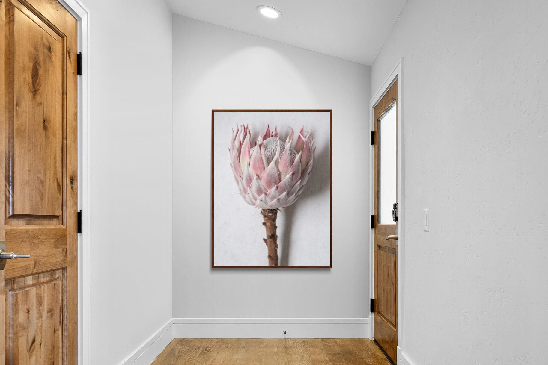 Pixalot Single Pink King Protea