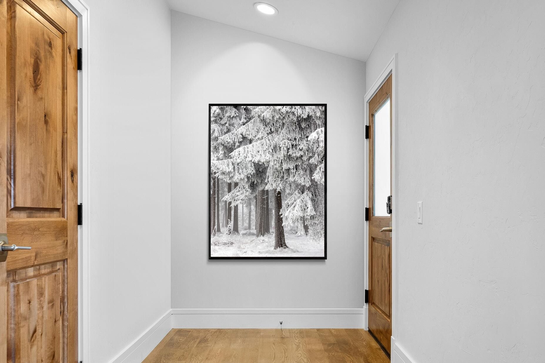 Pixalot Snowy Forest Silence