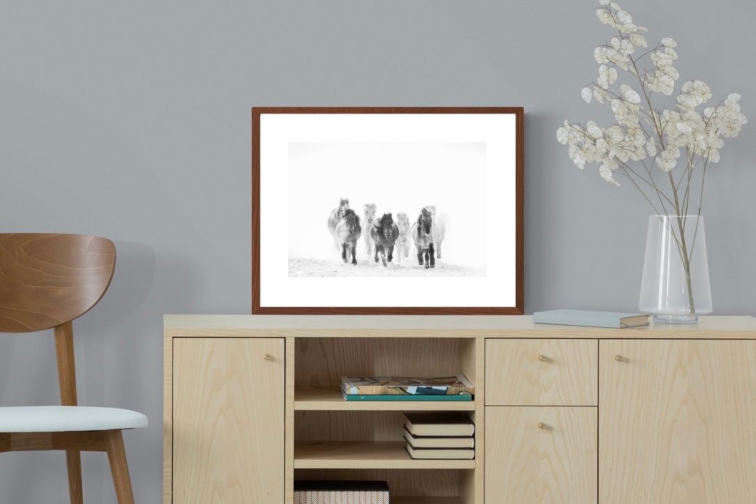 Pixalot ® Snowy Gallop