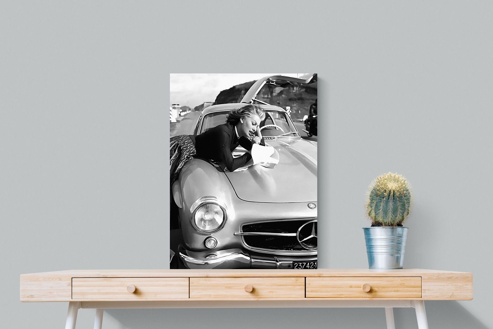 Pixalot Sophia Loren