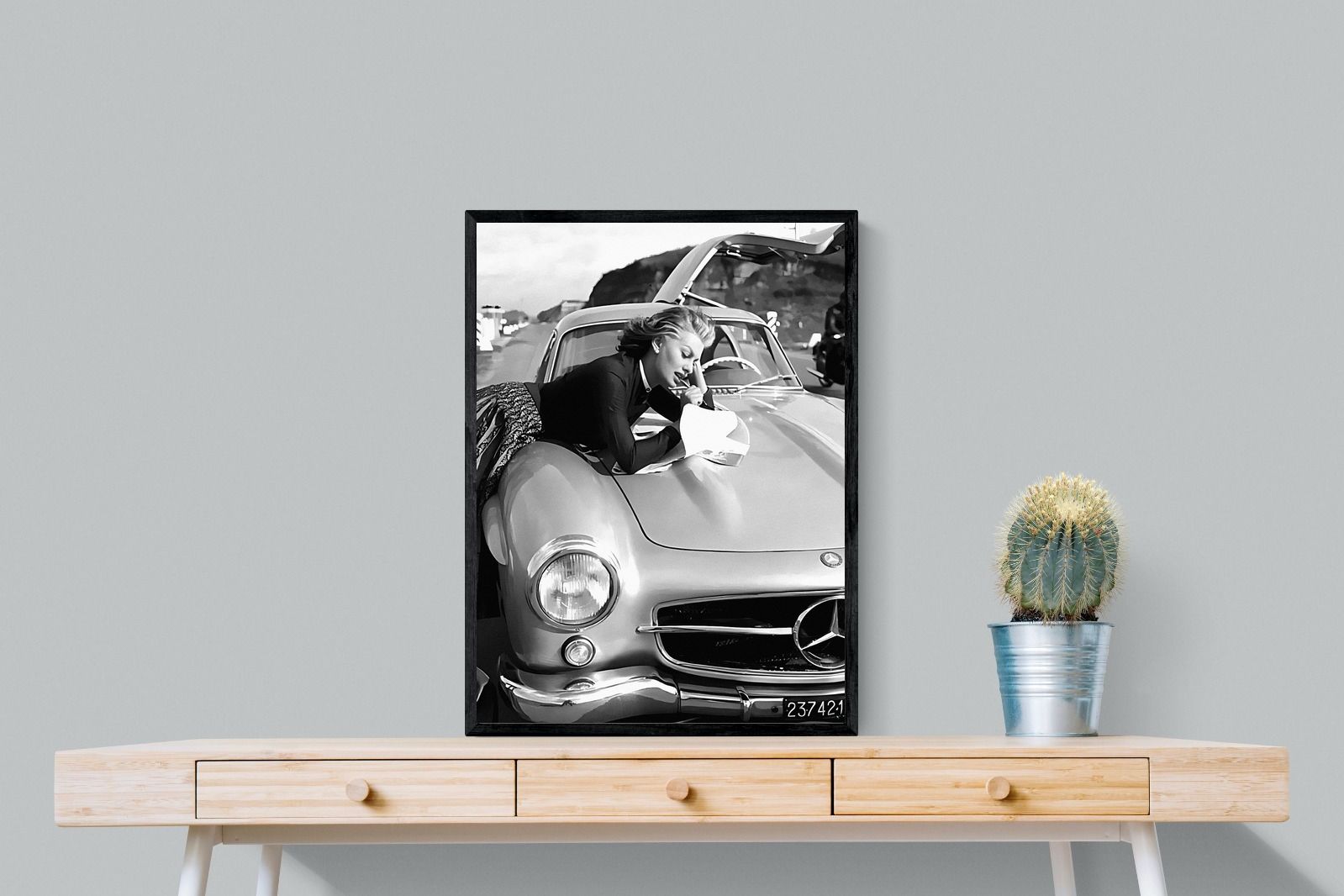 Pixalot Sophia Loren