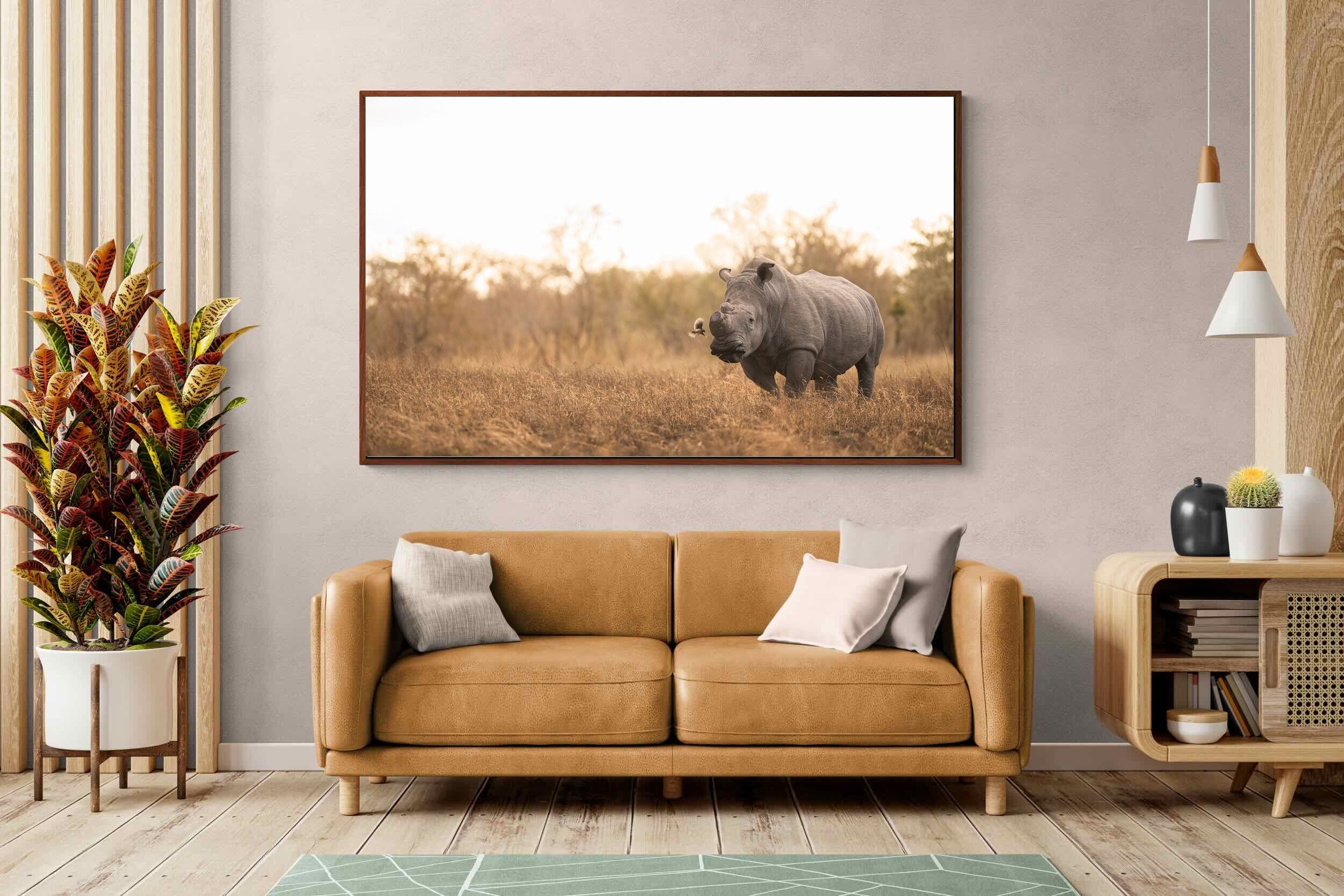 Pixalot ® Speed & Power