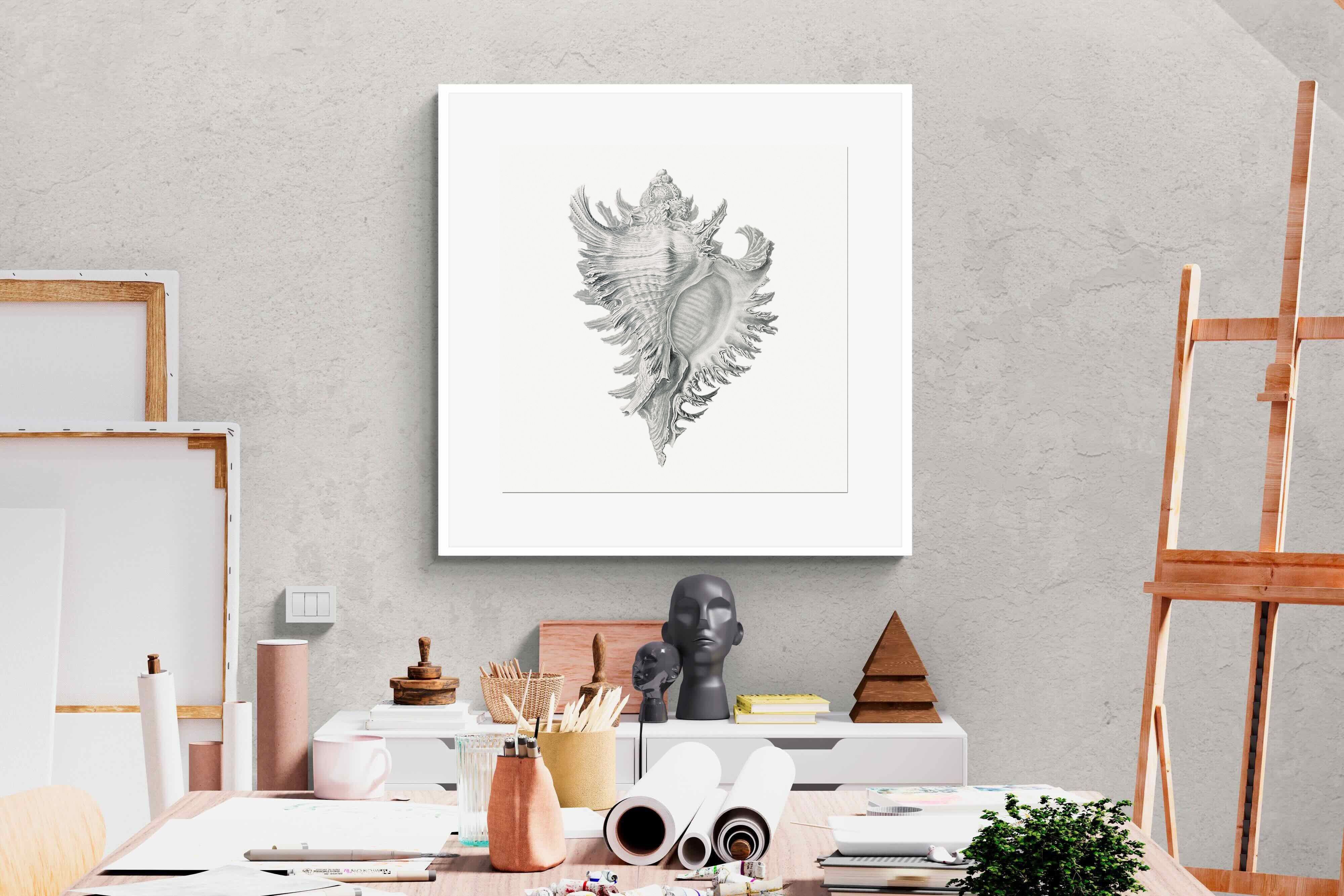 Pixalot Spiny Conch Shell