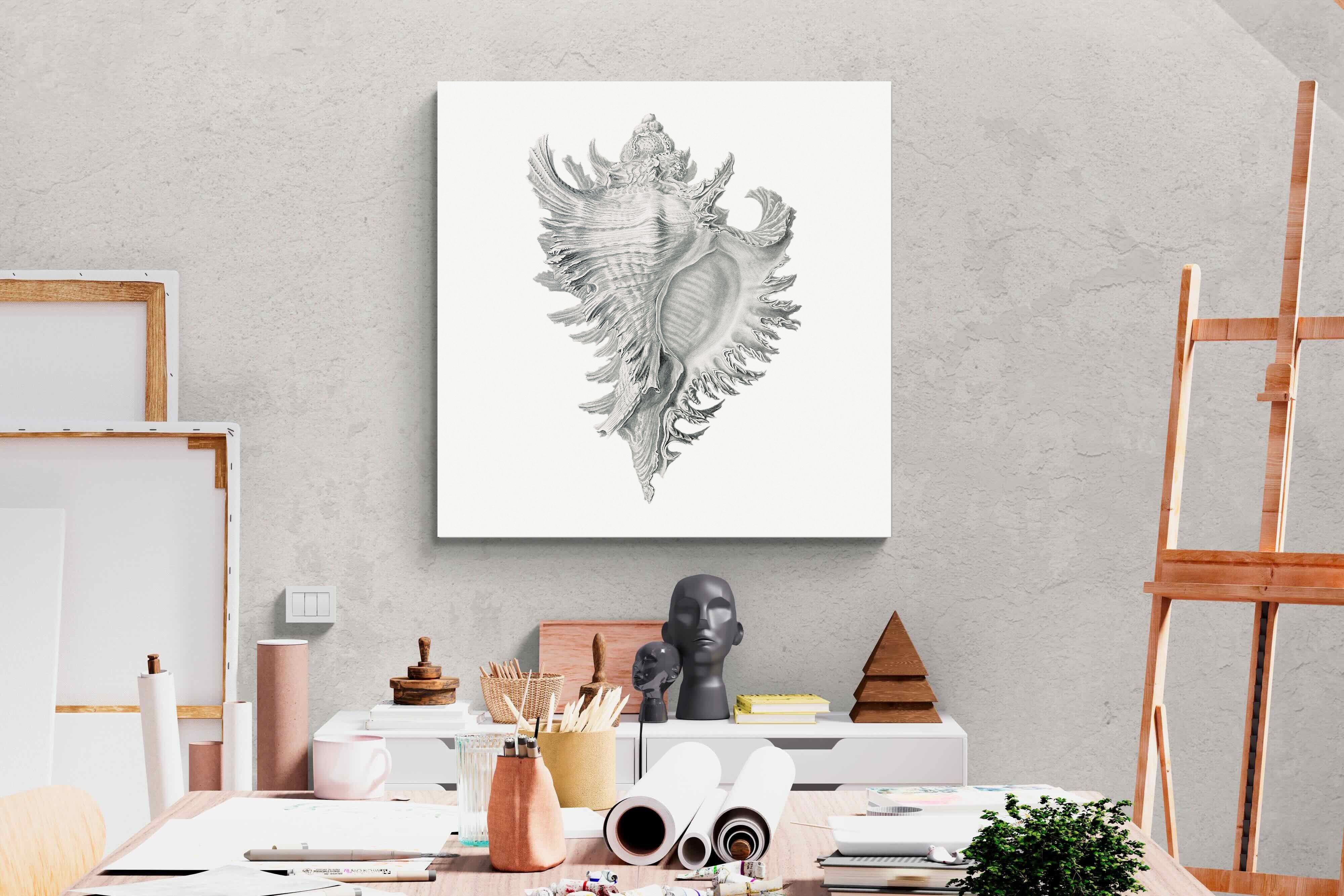 Pixalot Spiny Conch Shell