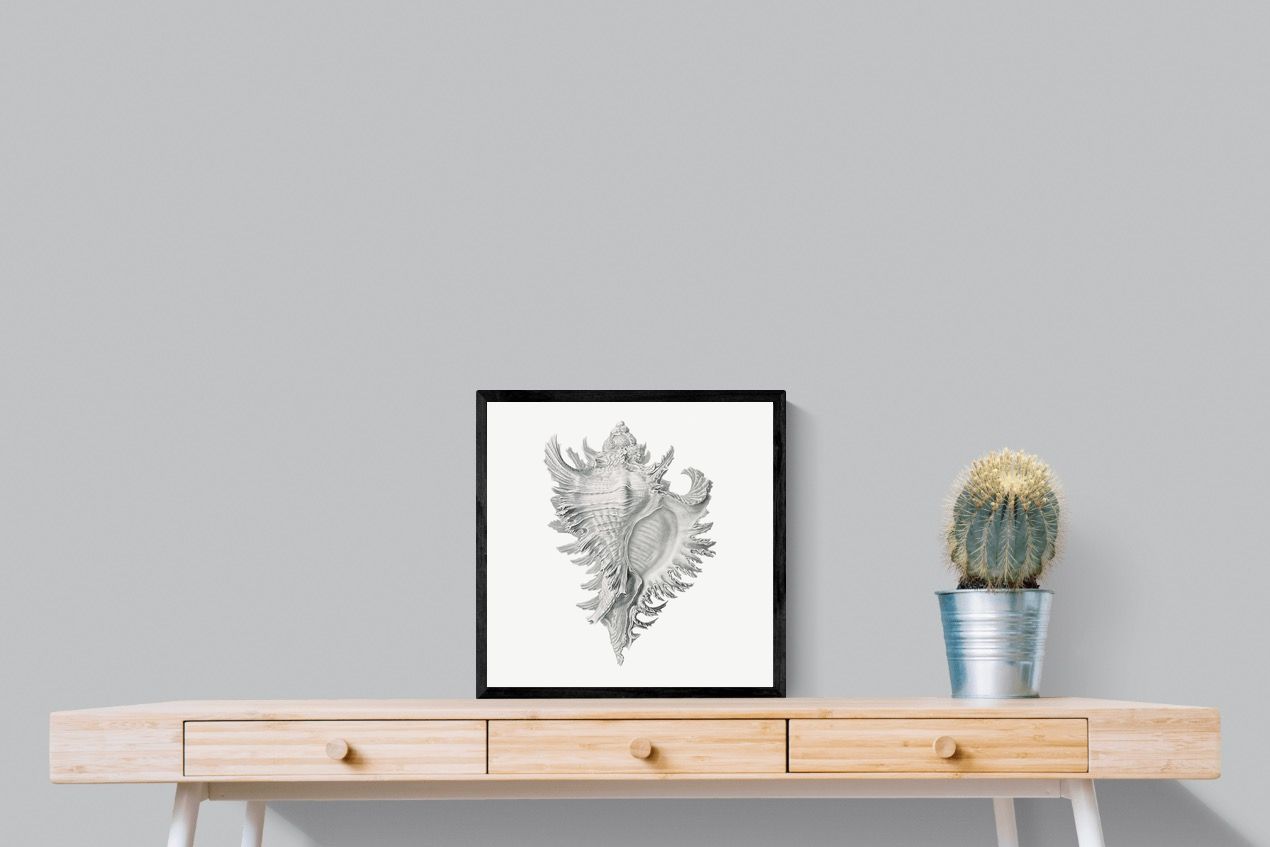 Pixalot Spiny Conch Shell