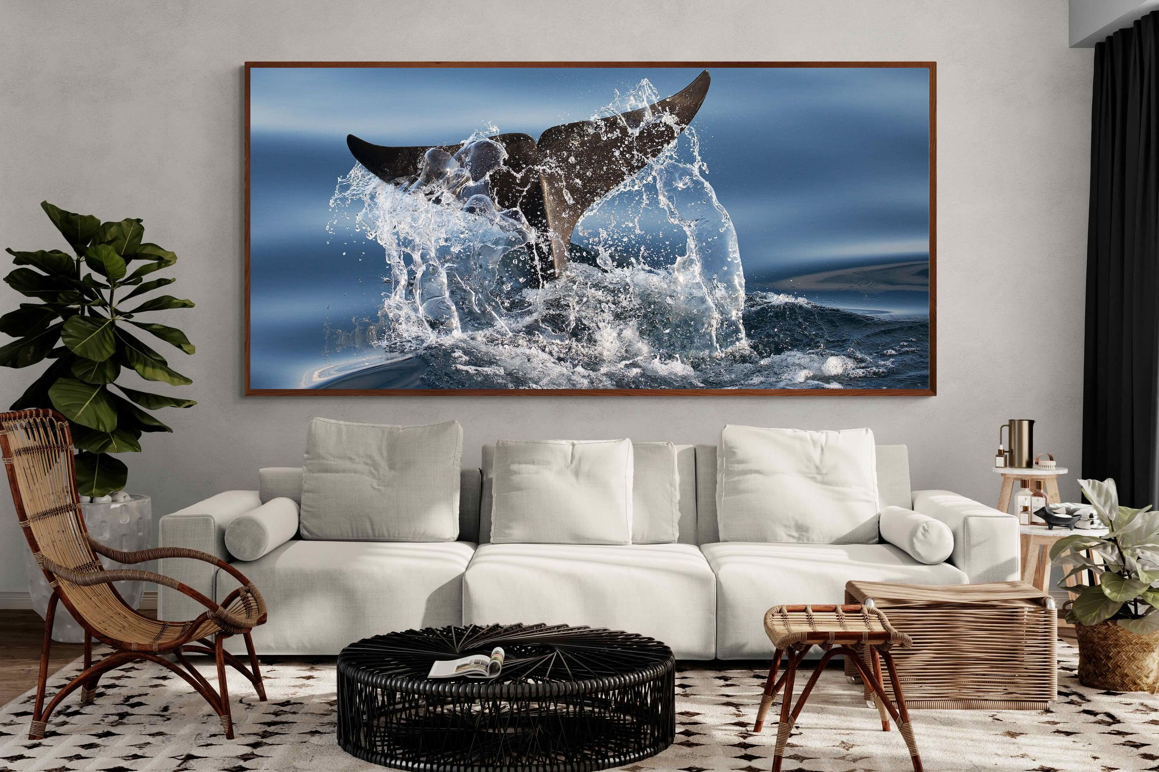 Pixalot ® Splash