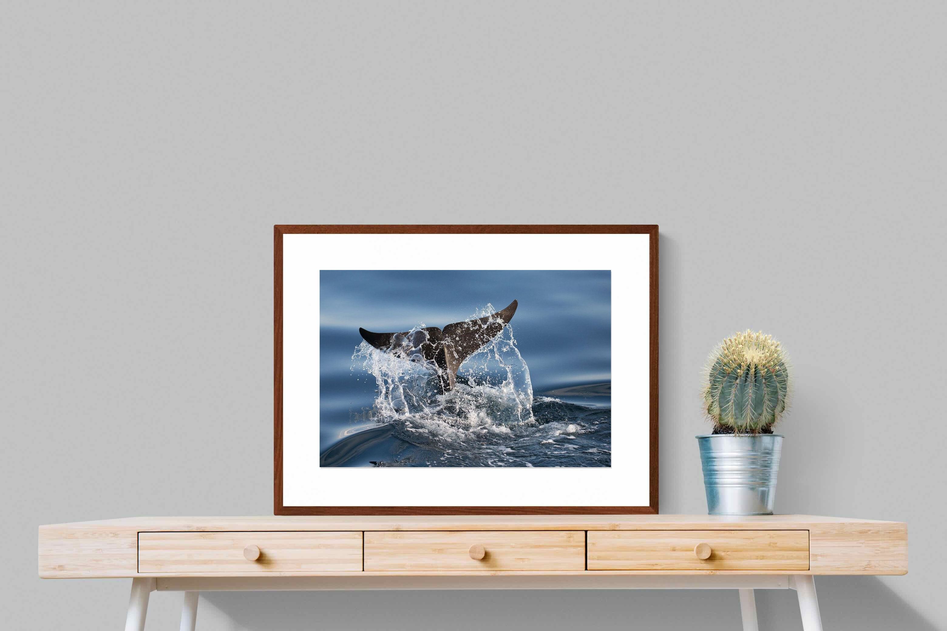 Pixalot ® Splash