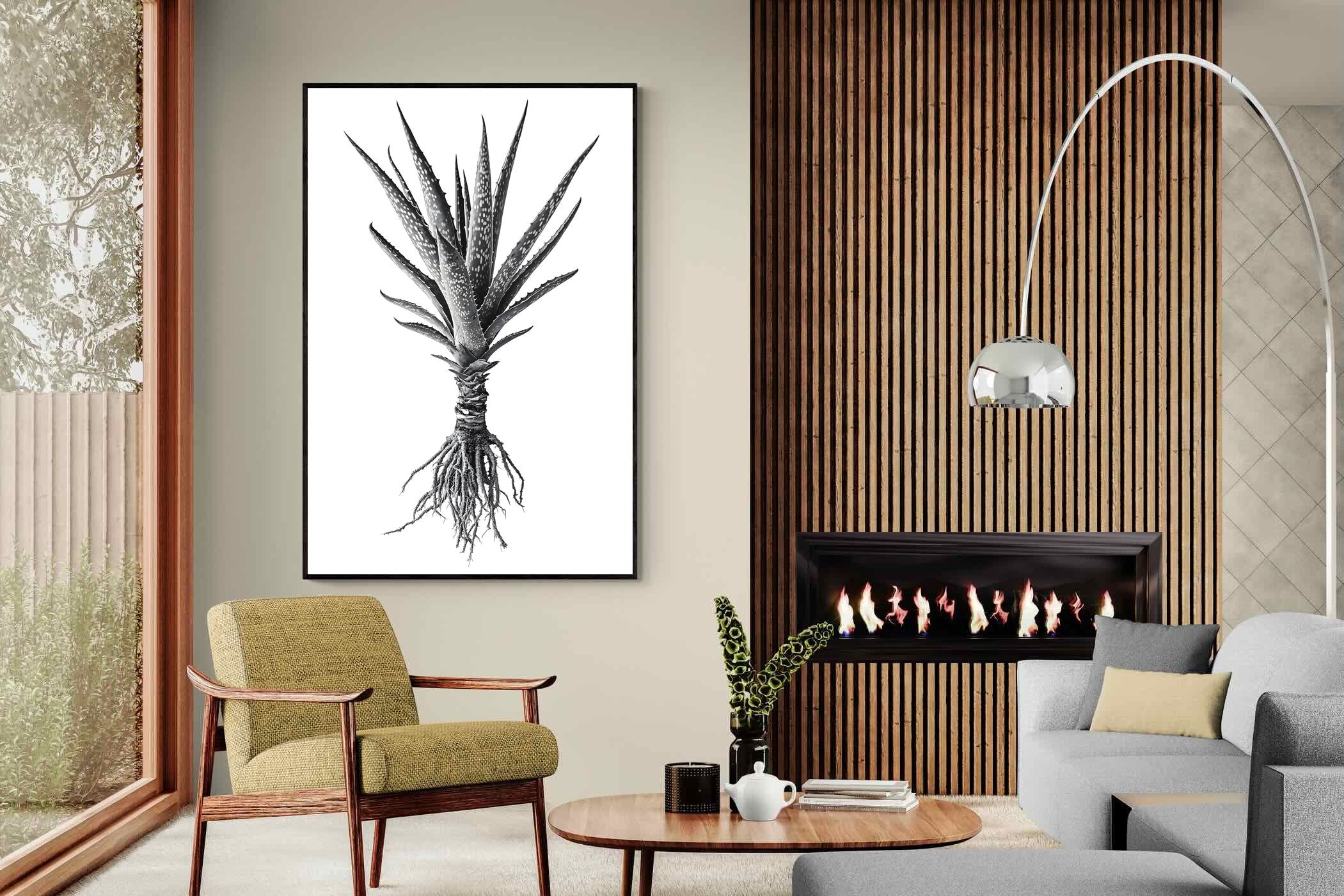 Pixalot Spotted Aloe