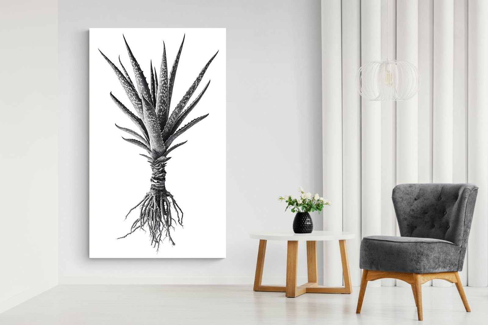 Pixalot Spotted Aloe