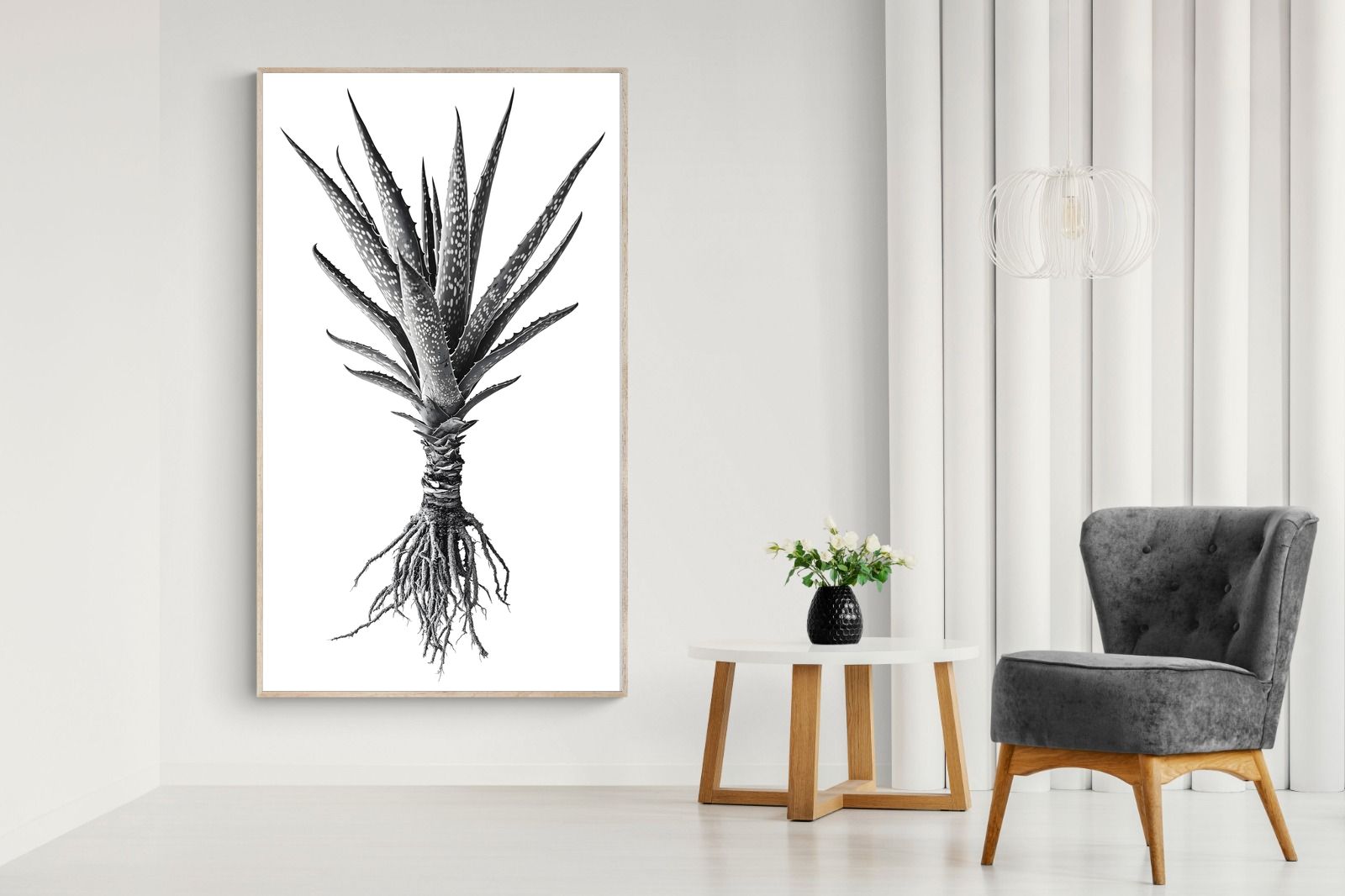 Pixalot Spotted Aloe