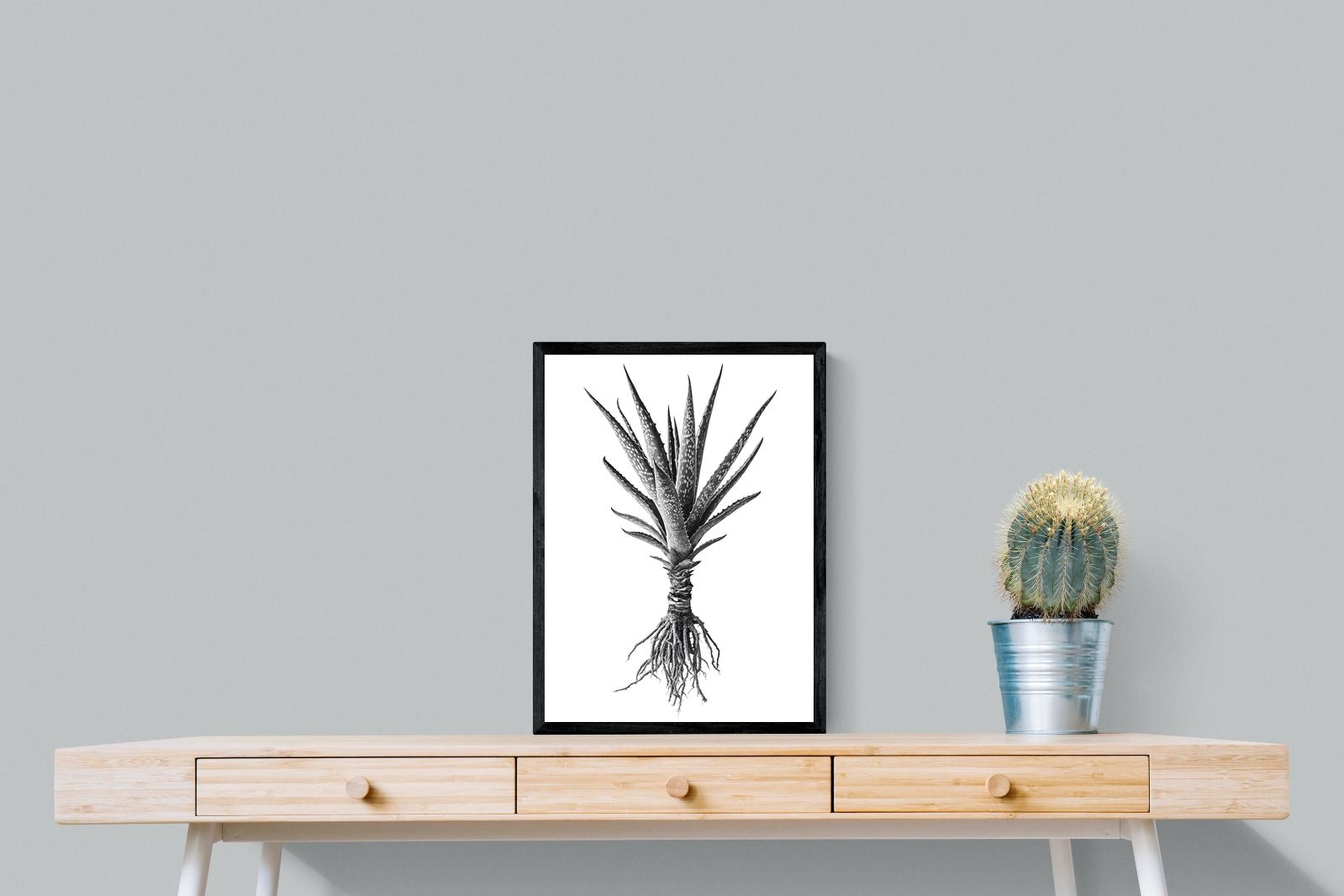 Pixalot Spotted Aloe