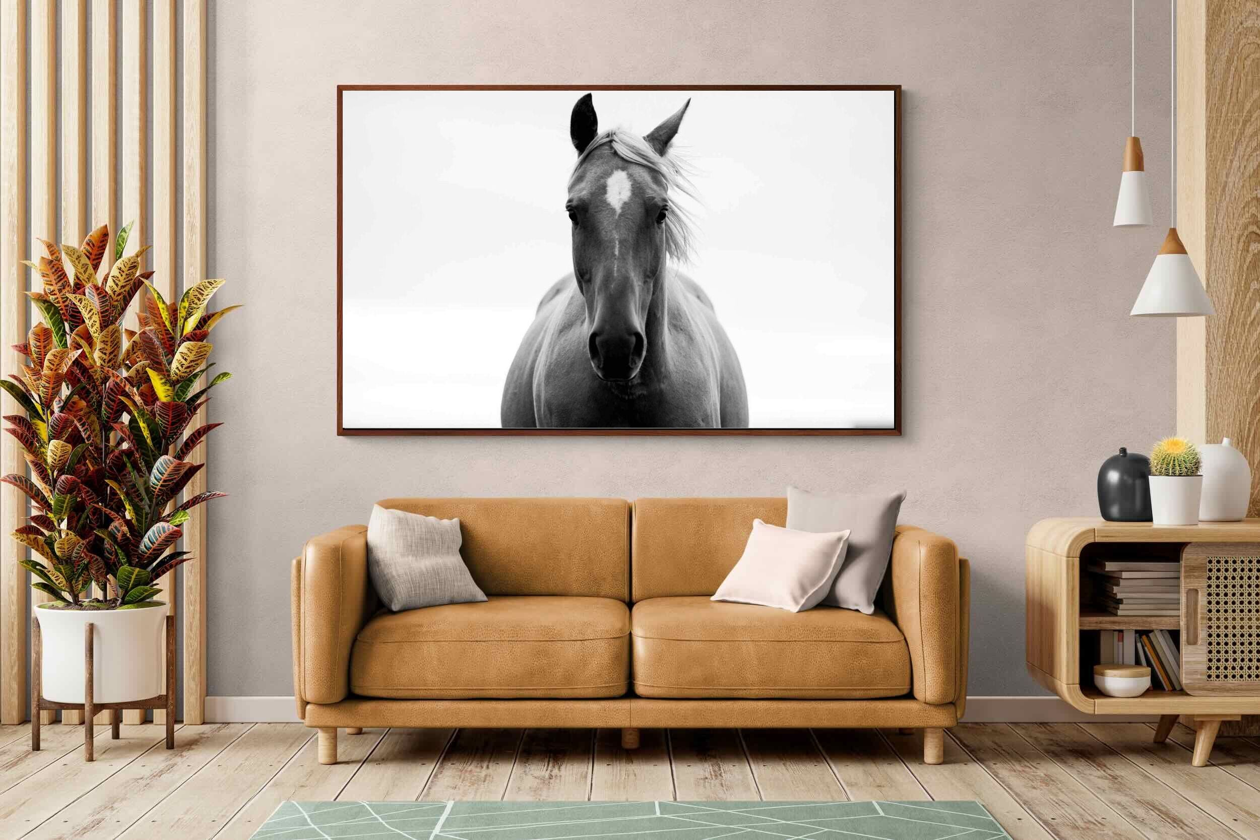 Pixalot ® Stallion
