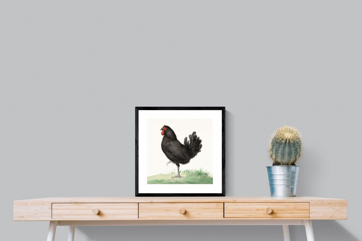 Pixalot Standing Black Chicken