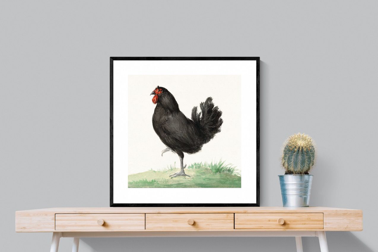 Pixalot Standing Black Chicken